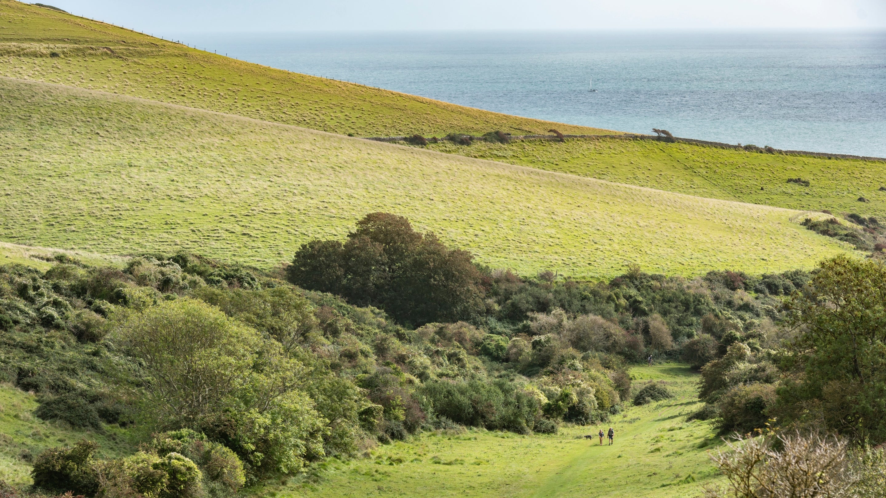 The area surrounding Weston Farm Motorhome Site, Dorset