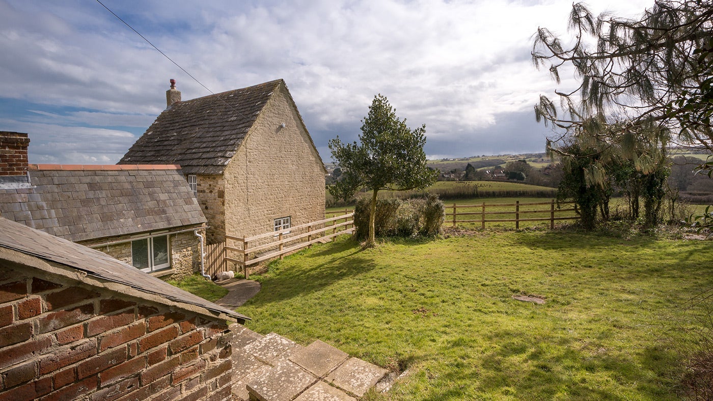 The back garden at Westwood Farm, Dorset