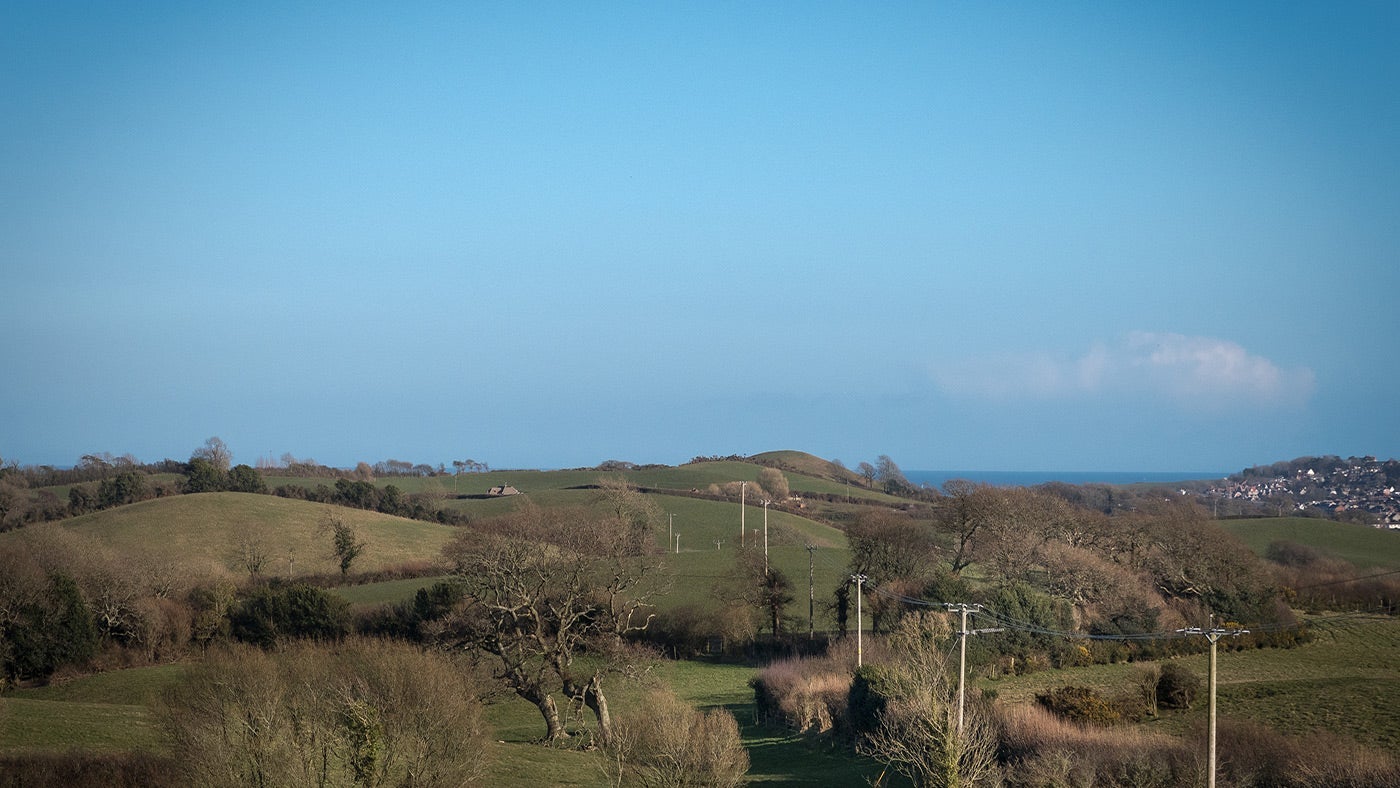 Local views at Westwood Farm, Dorset