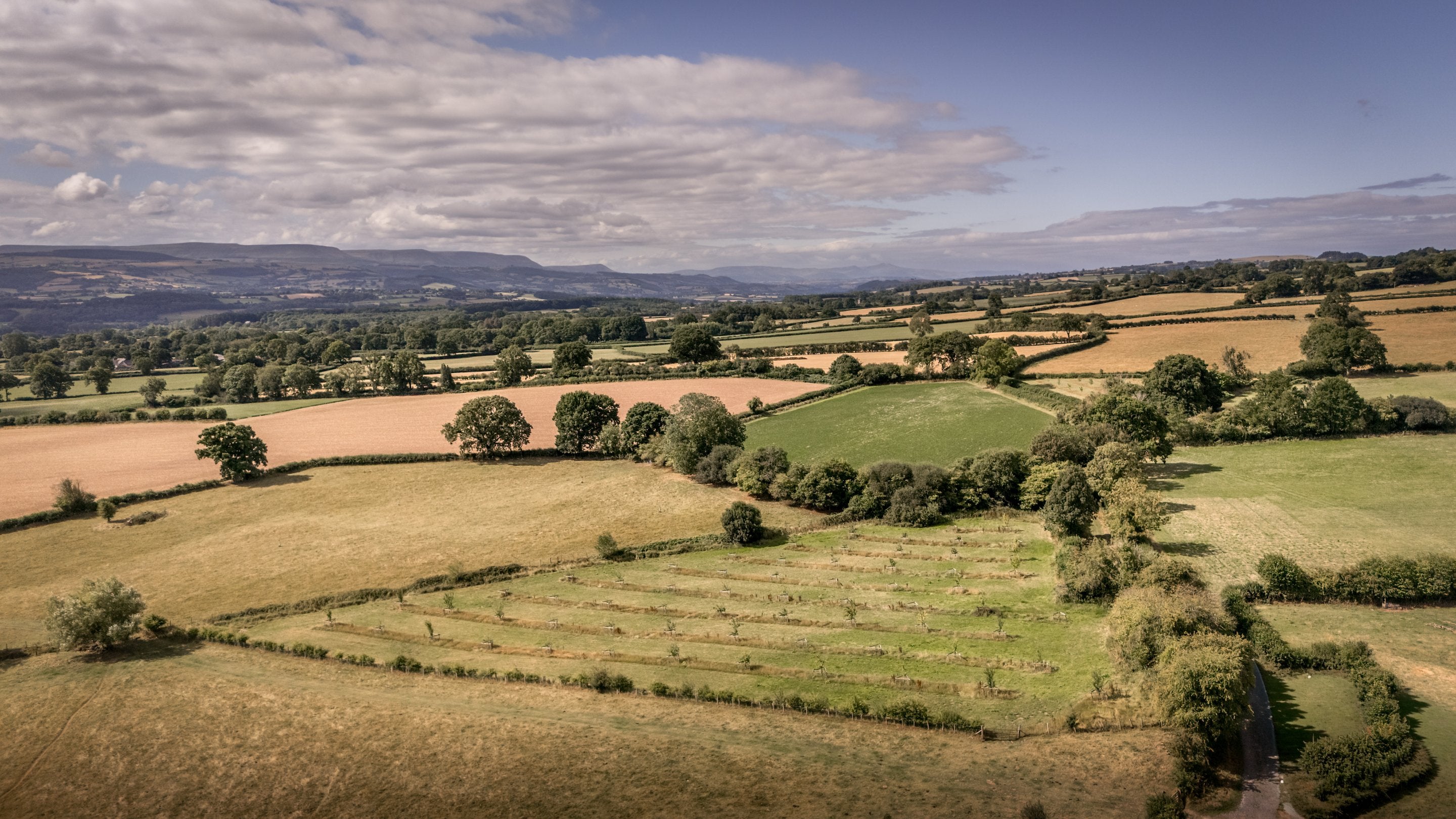 An aerial view of the countryside around Cwmmau Farmhouse, Herefordshire