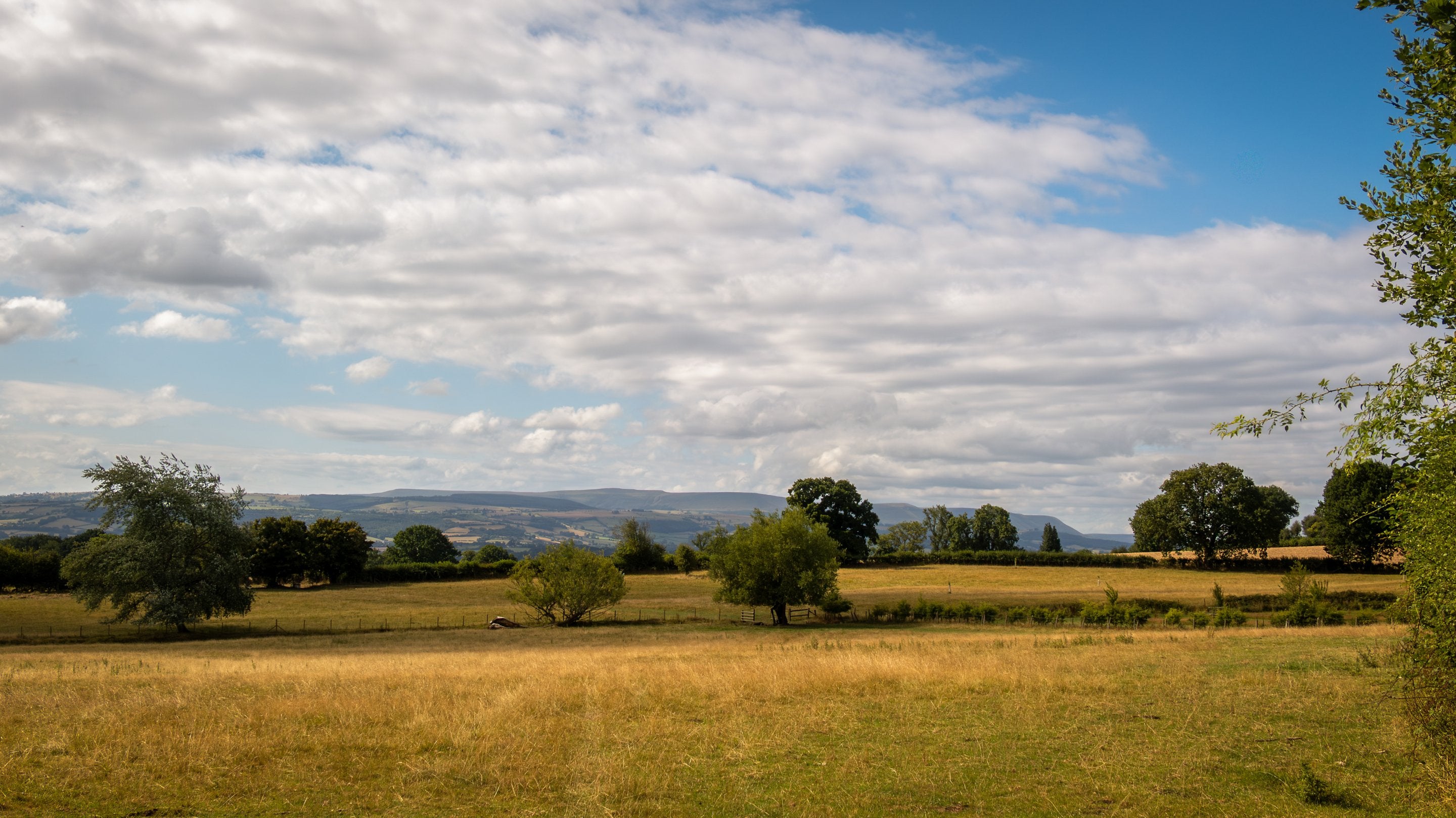 The countryside around Cwmmau Farmhouse, Herefordshire