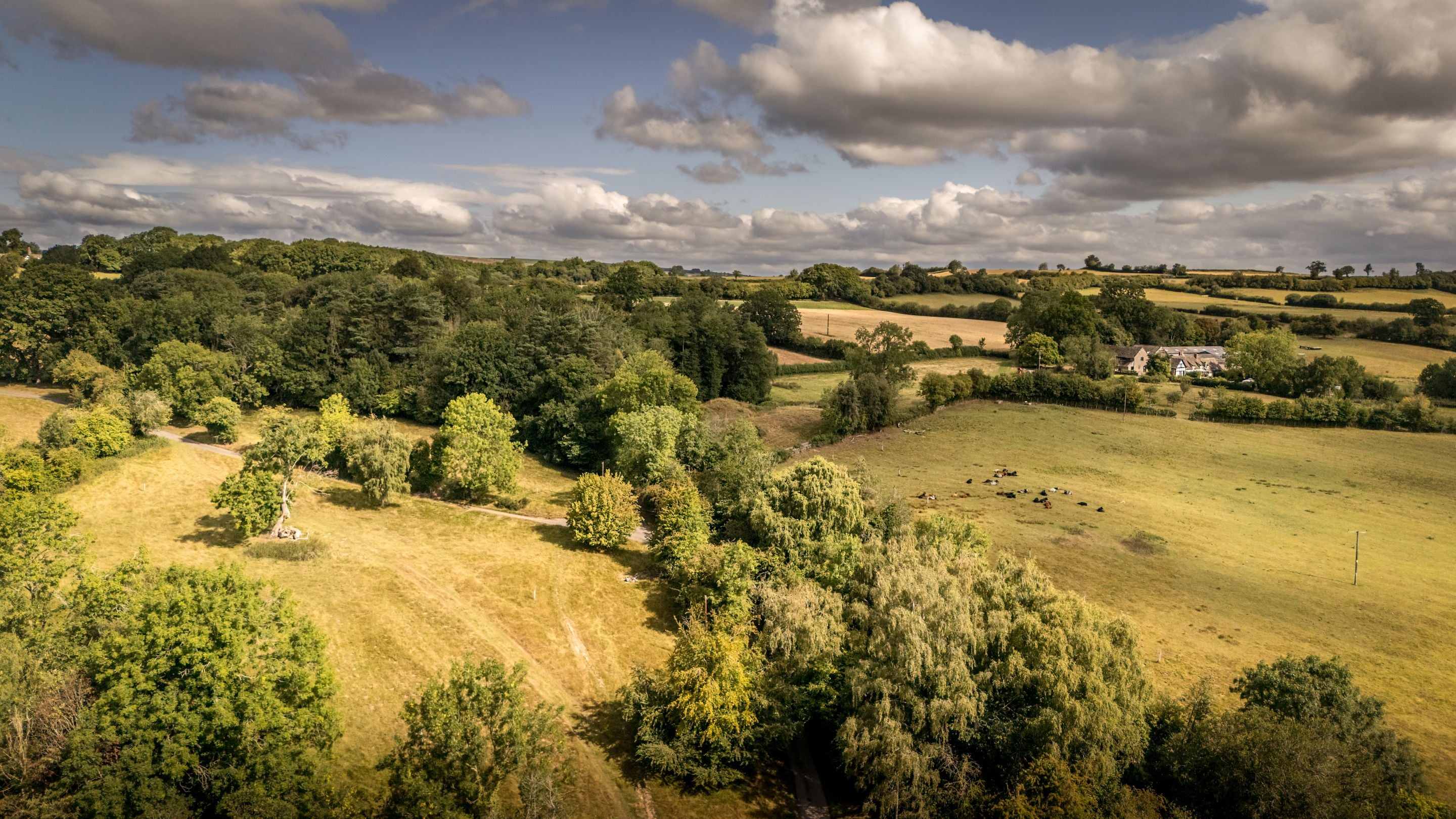 The area surrounding Cwmmau Farmhouse, Herefordshire
