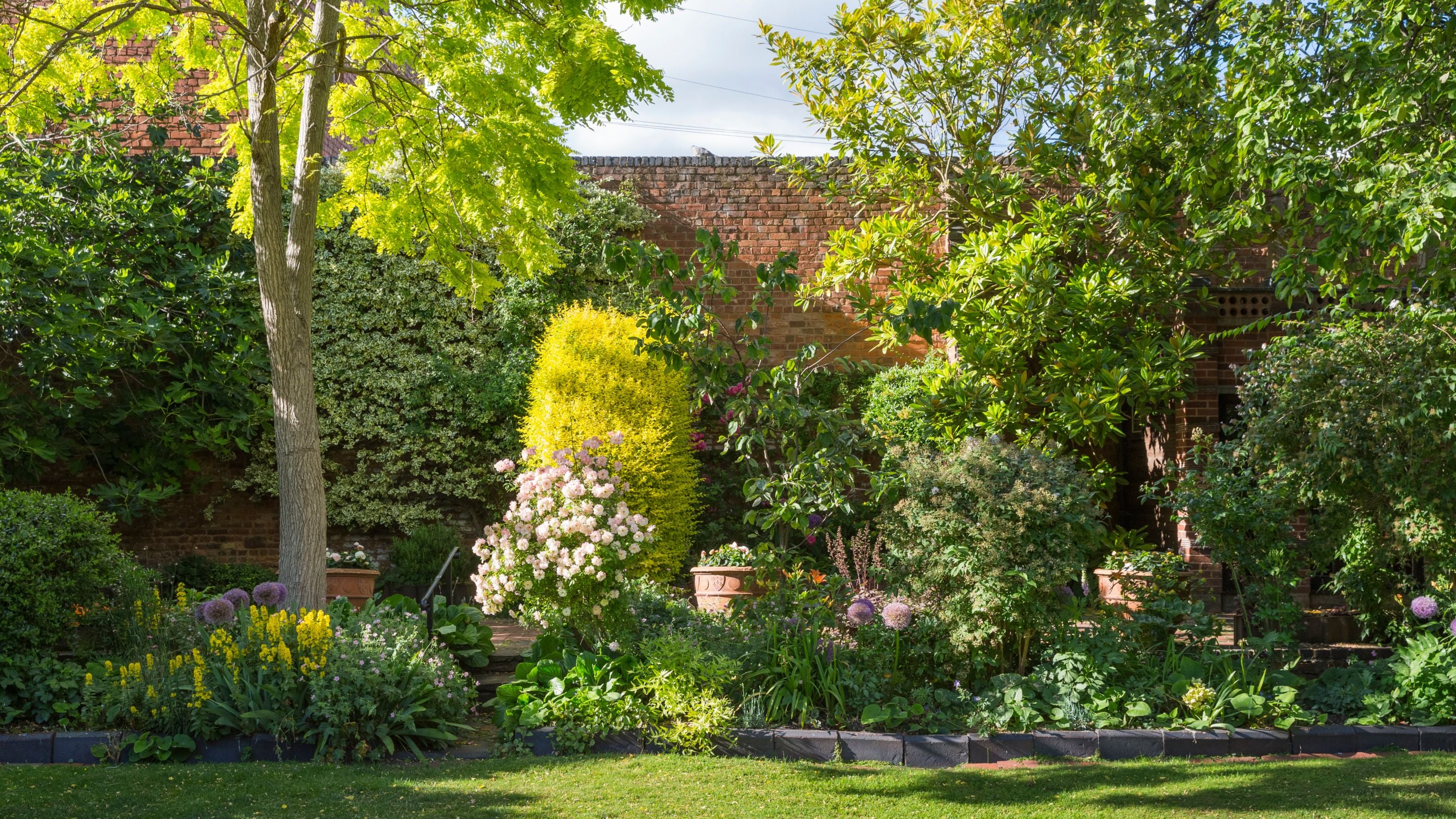 Part of Greyfriars Garden in summer, Worcestershire