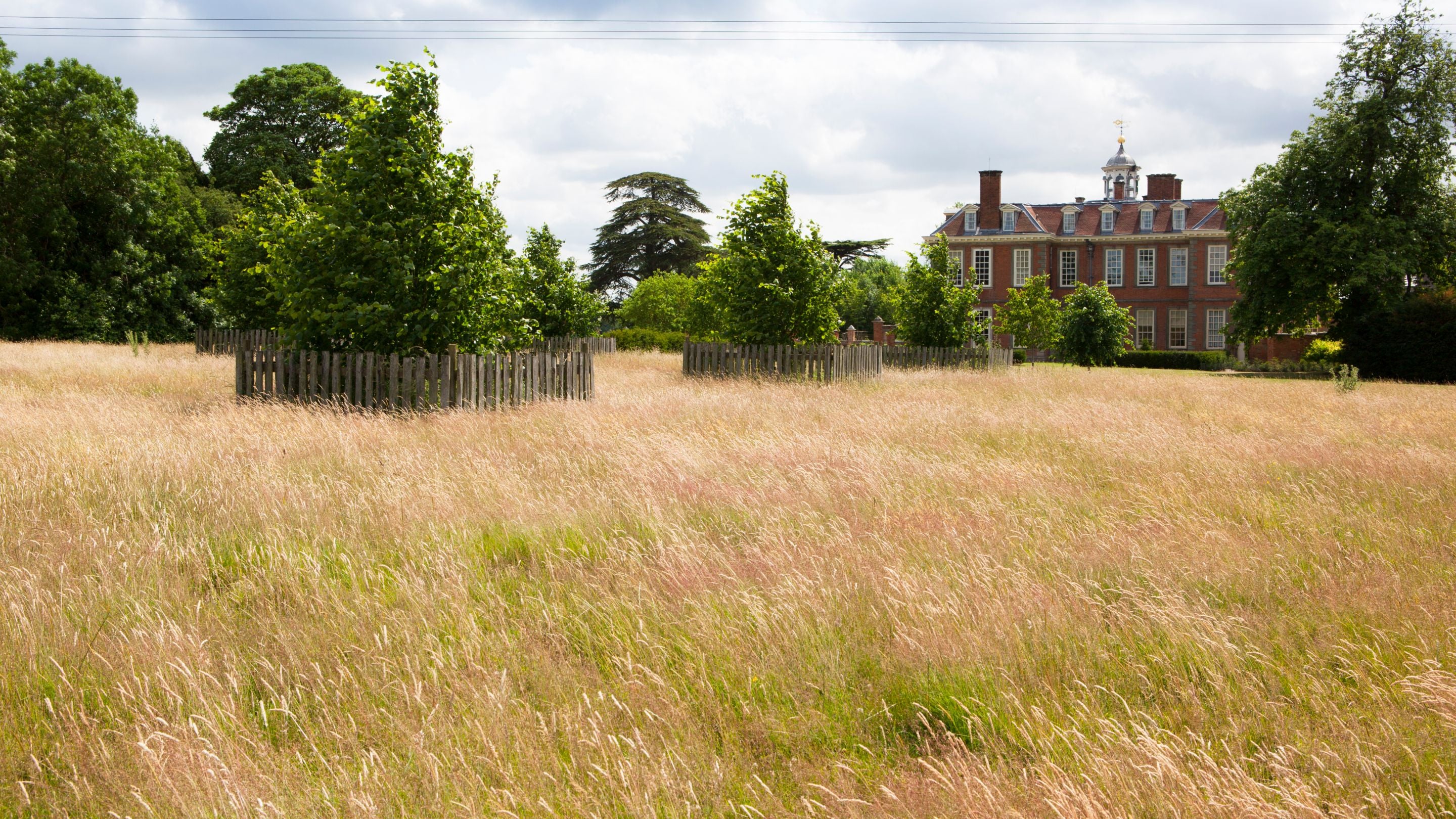 View back towards Hanbury Hall from the Lime Tree Walk, Worcestershire