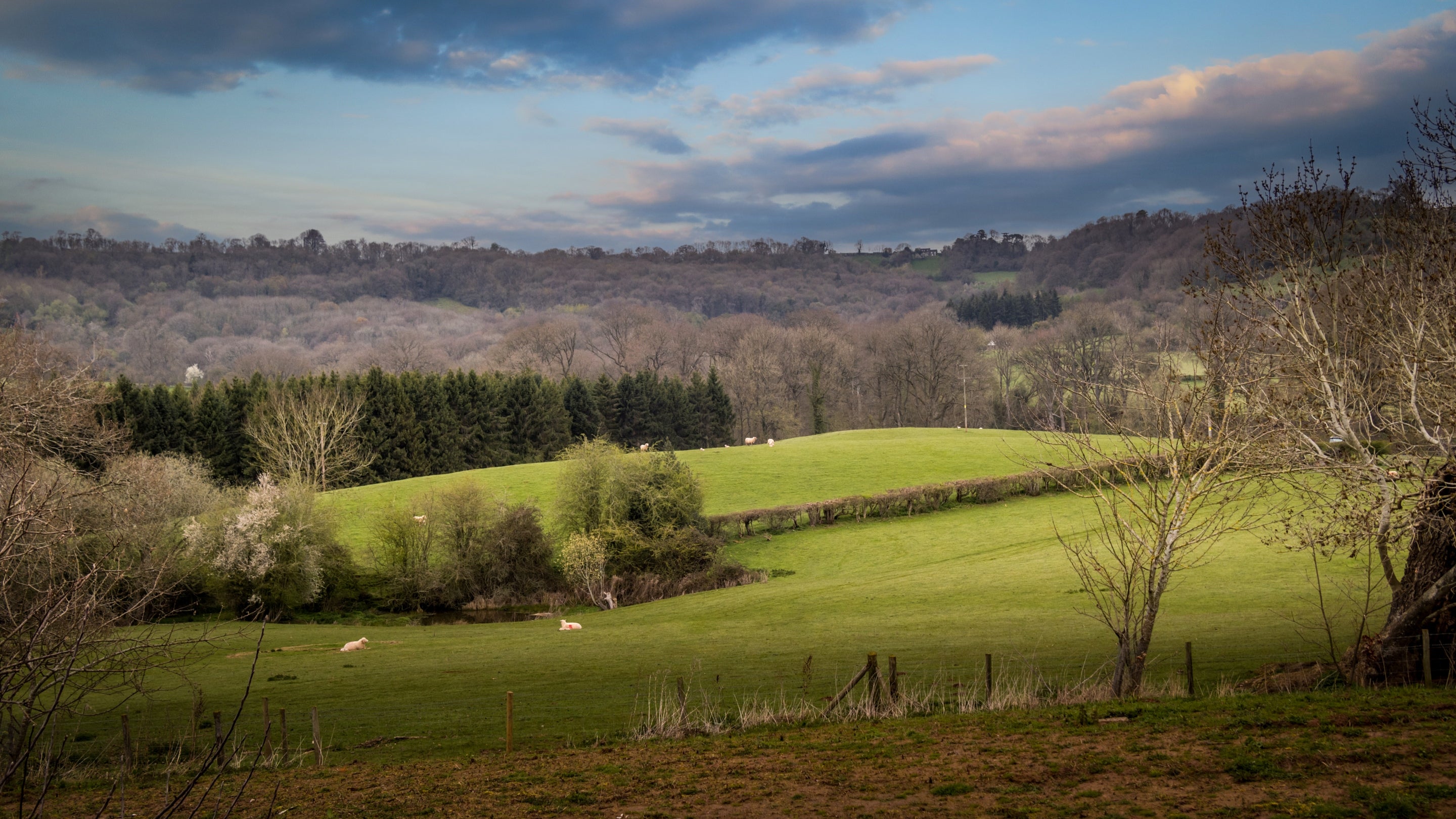 The area surrounding Hop Kiln Cart Barn, Herefordshire