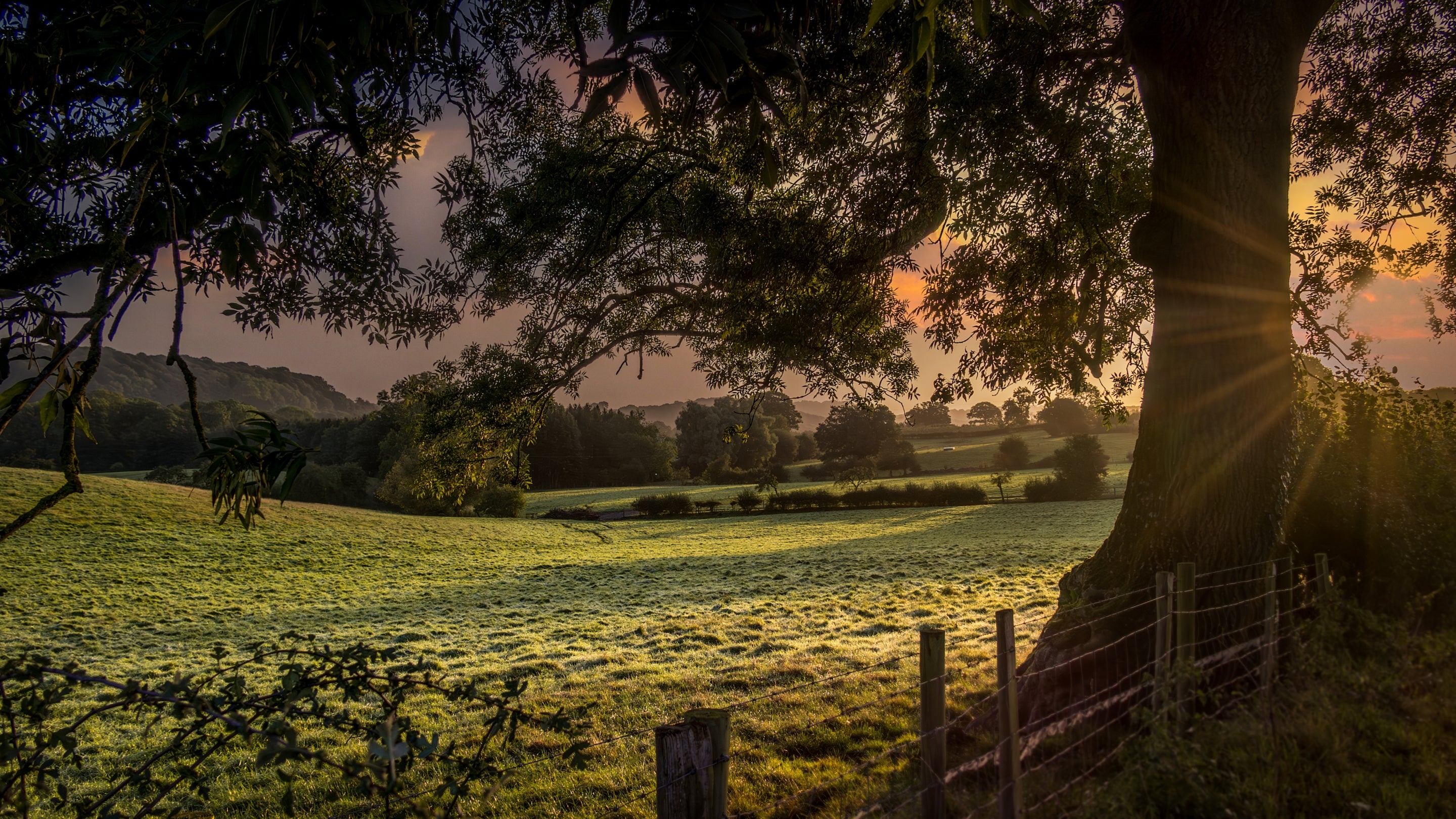 The area surrounding Hop Kiln Farmhouse, Herefordshire