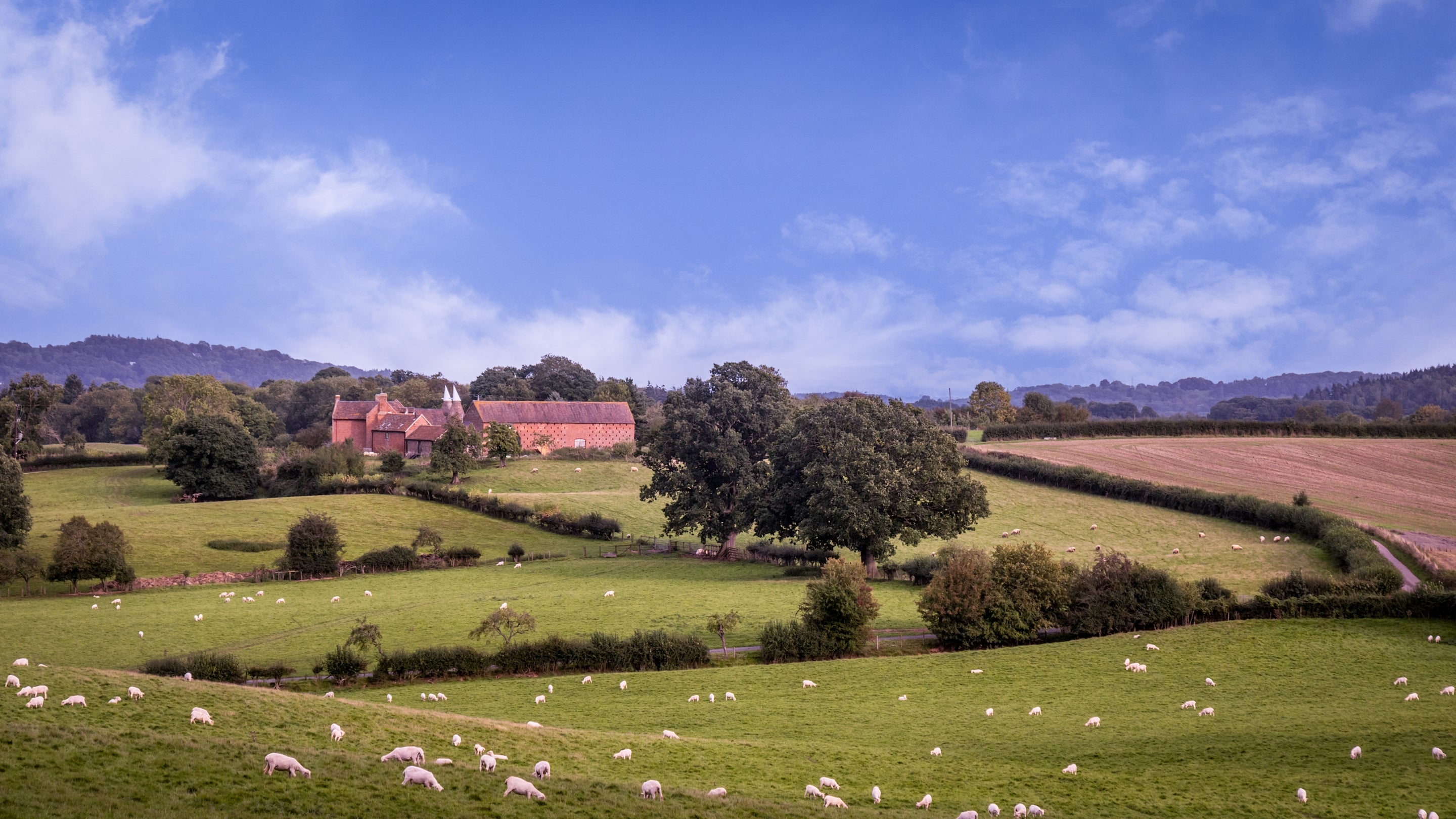 Hop Kiln Mews and the neighbouring cottages, Hop Kiln Cart Barn, Hop Kiln Farmhouse and Kiln Barn, Herefordshire