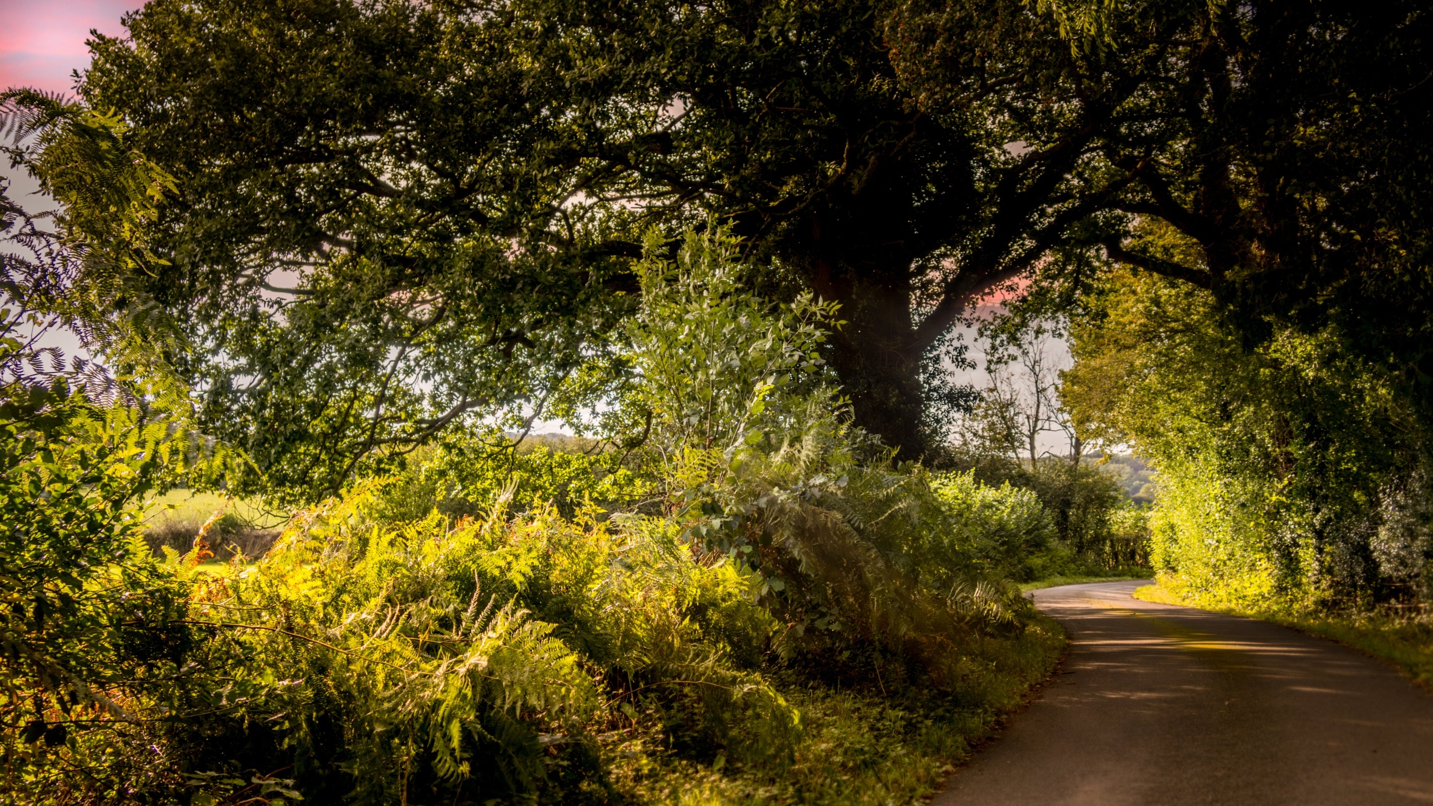 The area surrounding Hop Kiln Mews, Herefordshire