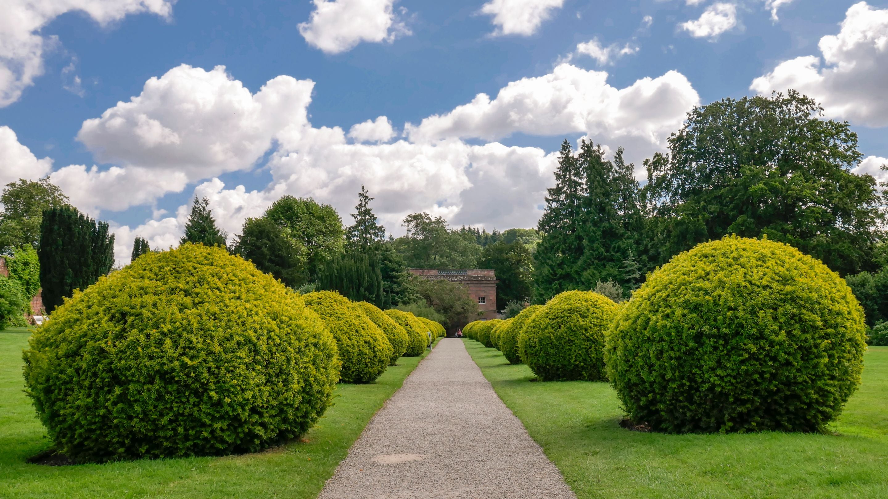 Clipped hedges along a path in the garden at Berrington Hall, Herefordshire