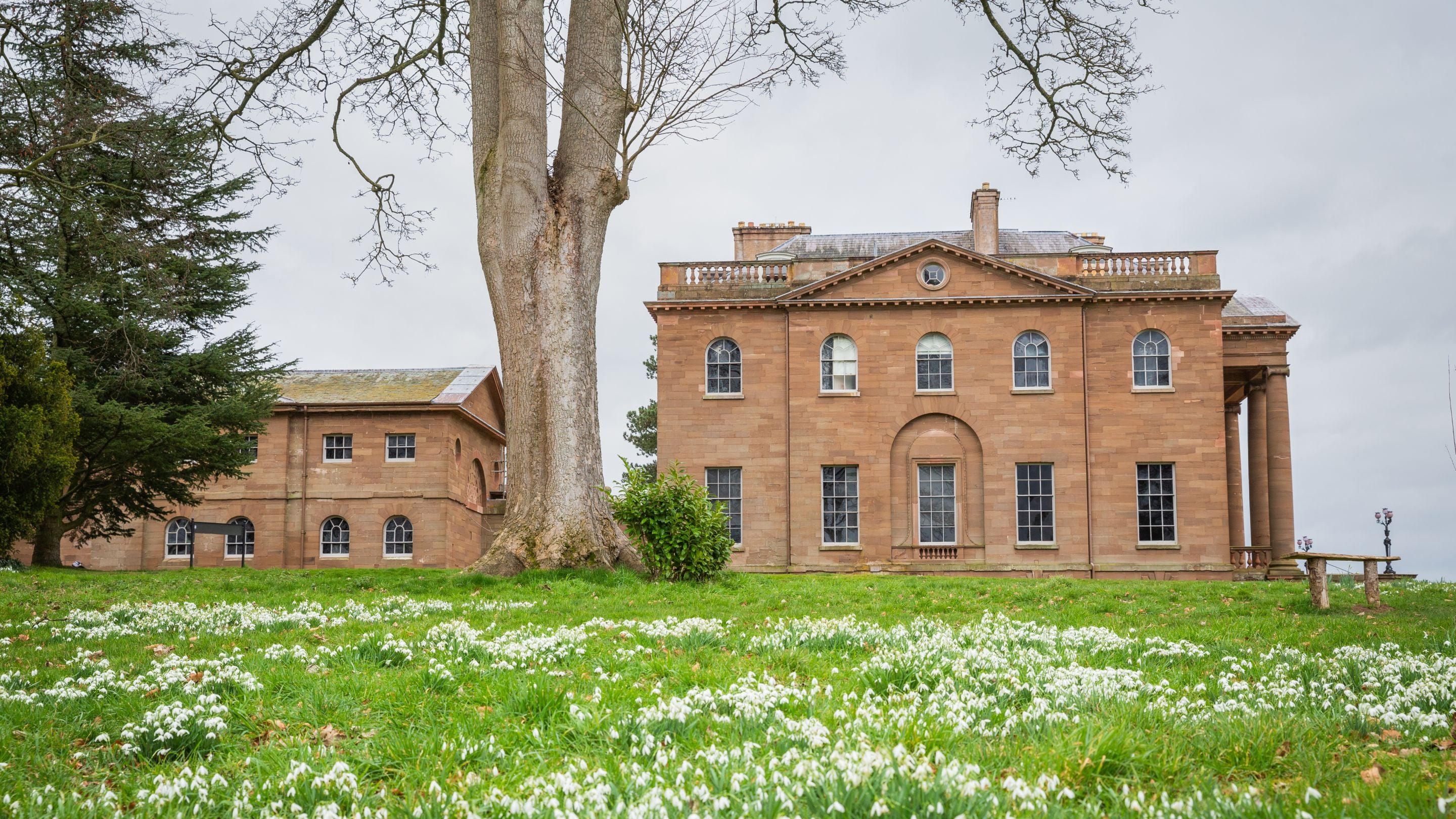 Snowdrops near the house at Berrington Hall, Herefordshire