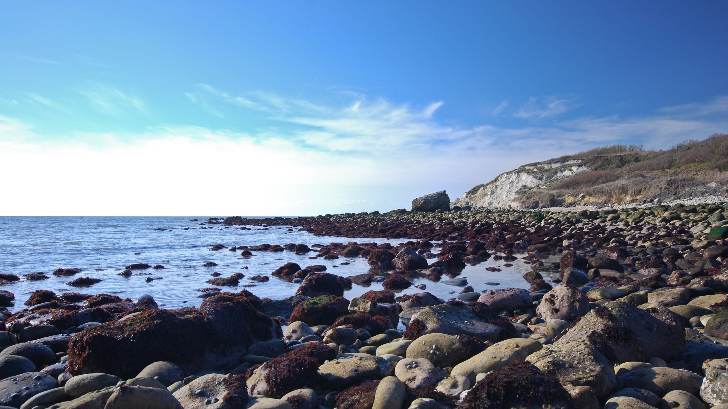 The coast near to Knowles Farm Cottage, Isle of Wight