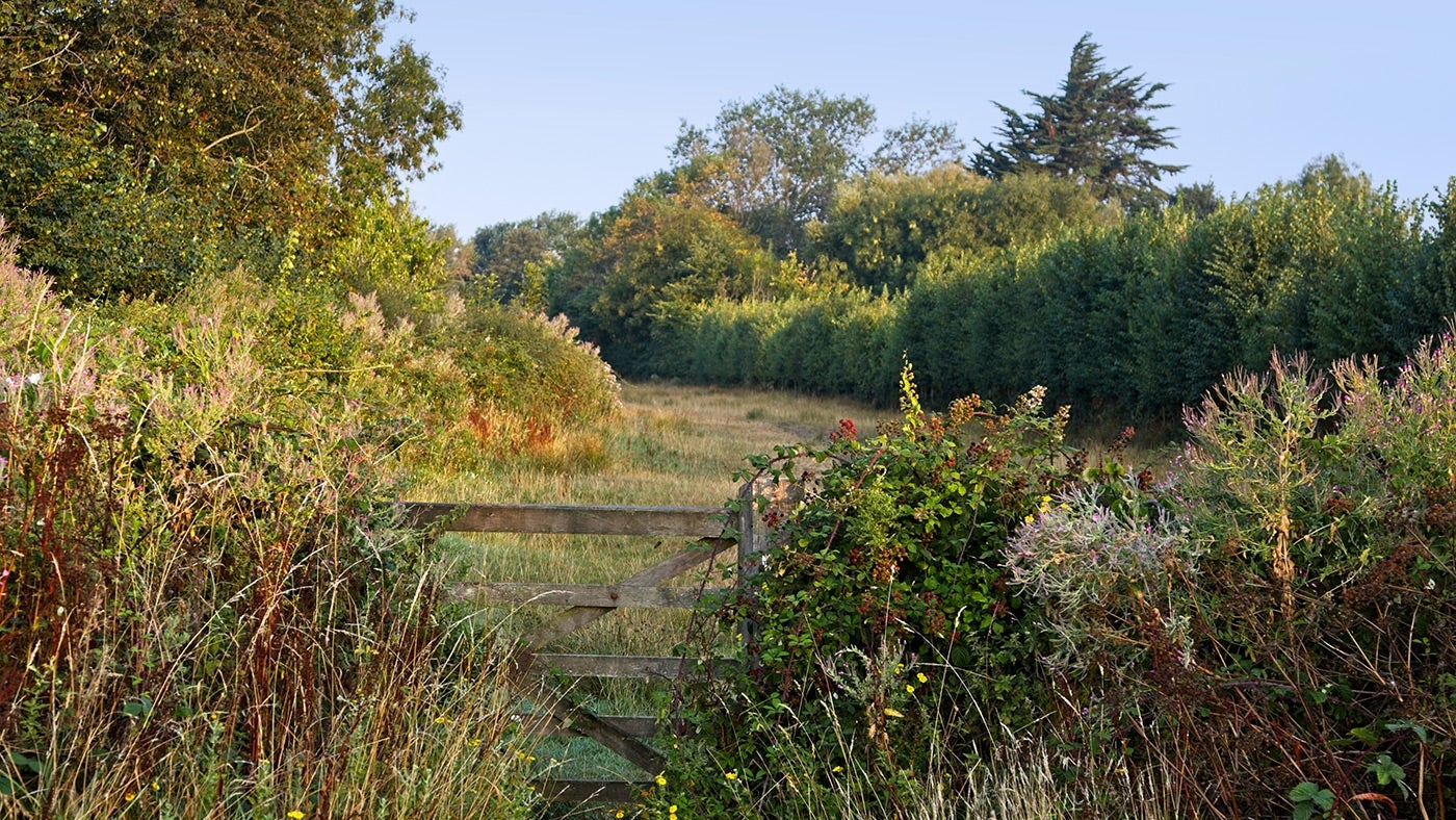 The surrounding area near Newtown Cabin, Isle of Wight