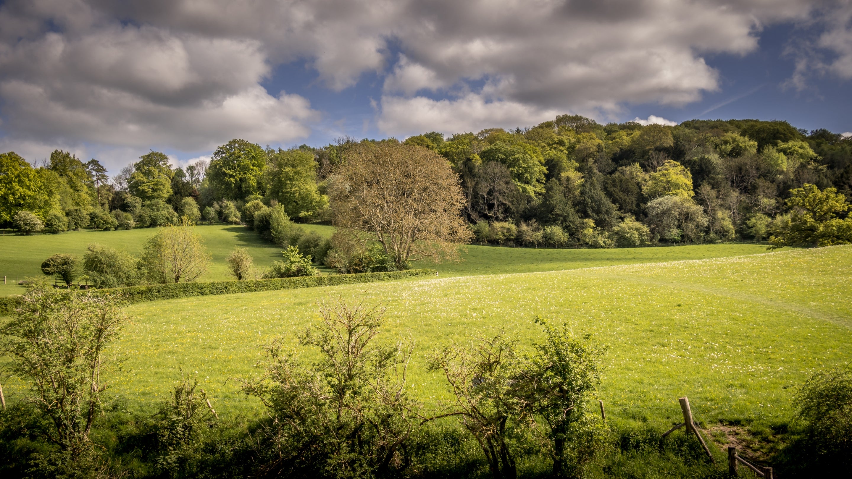 The area surrounding 1 Bagden Farm Cottage, Surrey