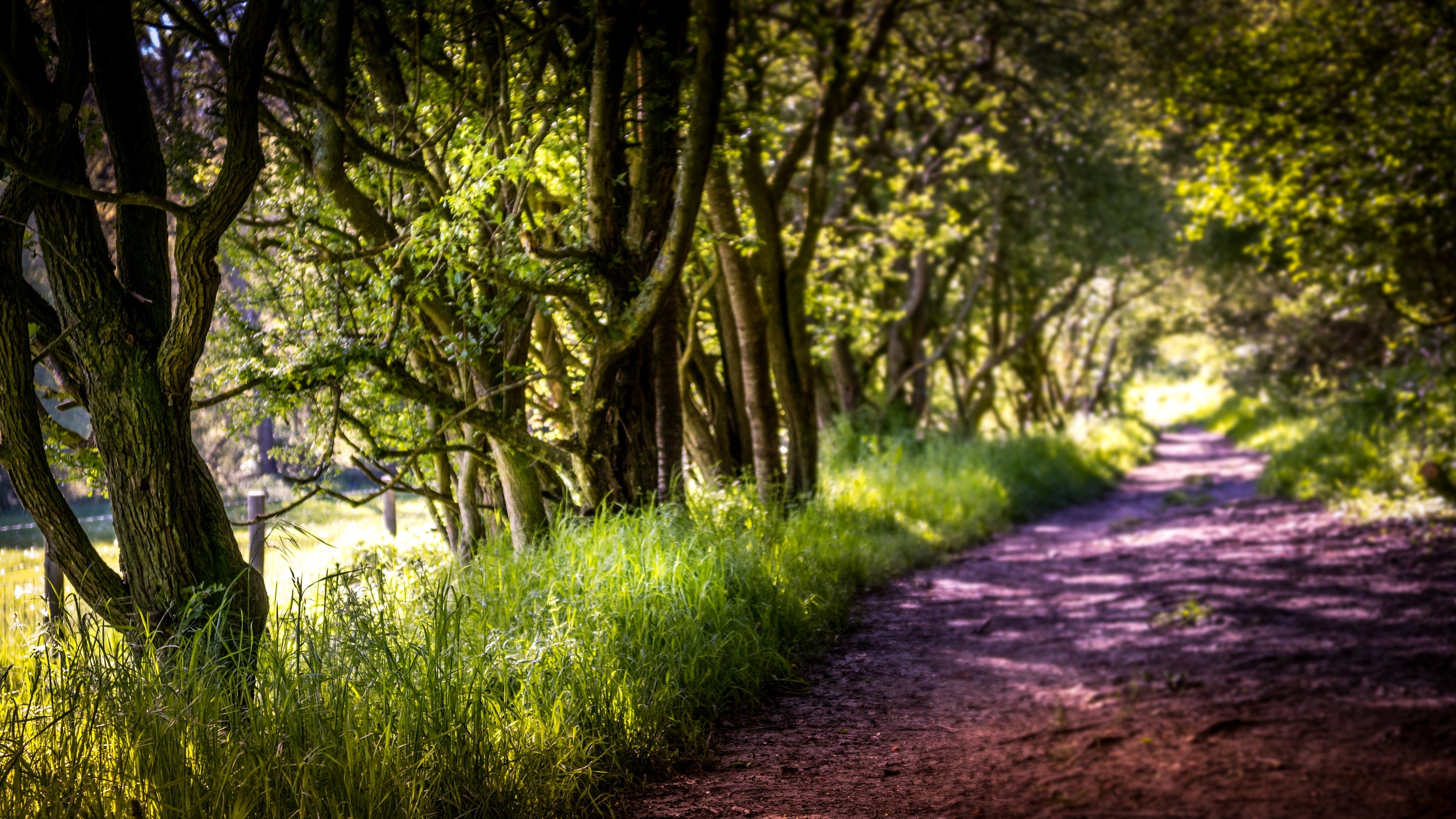The area surrounding 1 Bagden Farm Cottage, Surrey