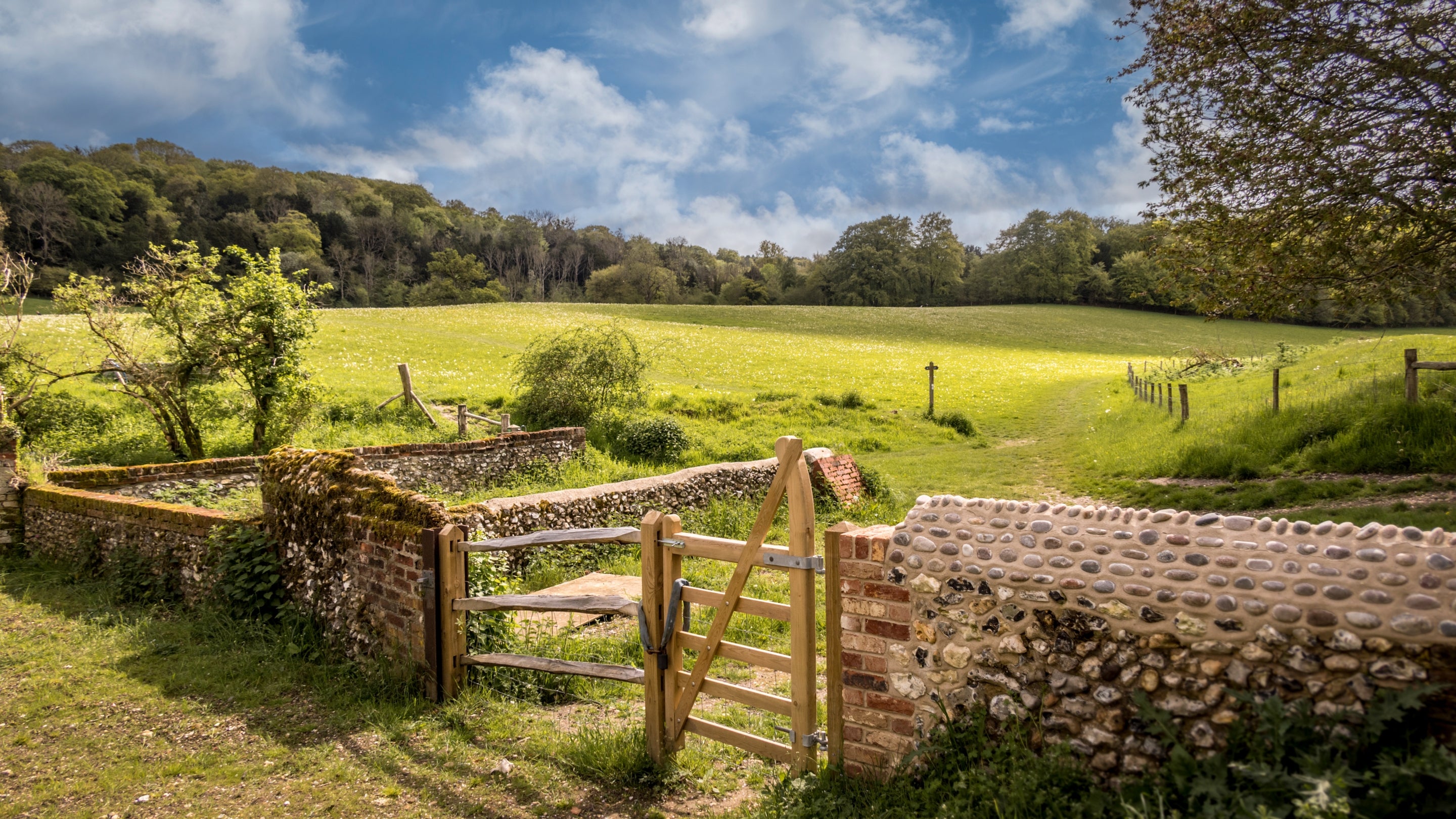 The area surrounding 1 Bagden Farm Cottage, Surrey