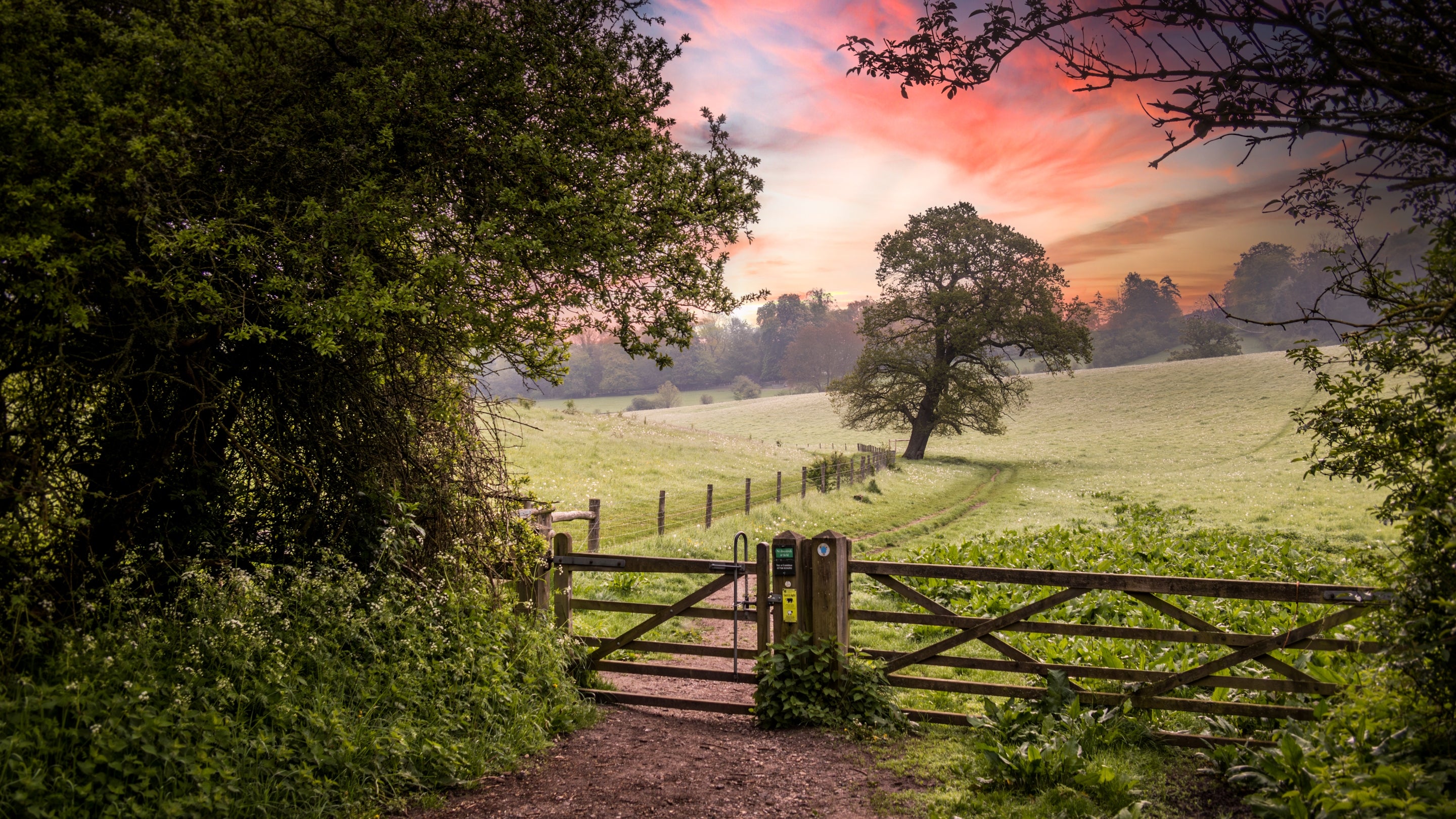 The area surrounding 1 Bagden Farm Cottage, Surrey