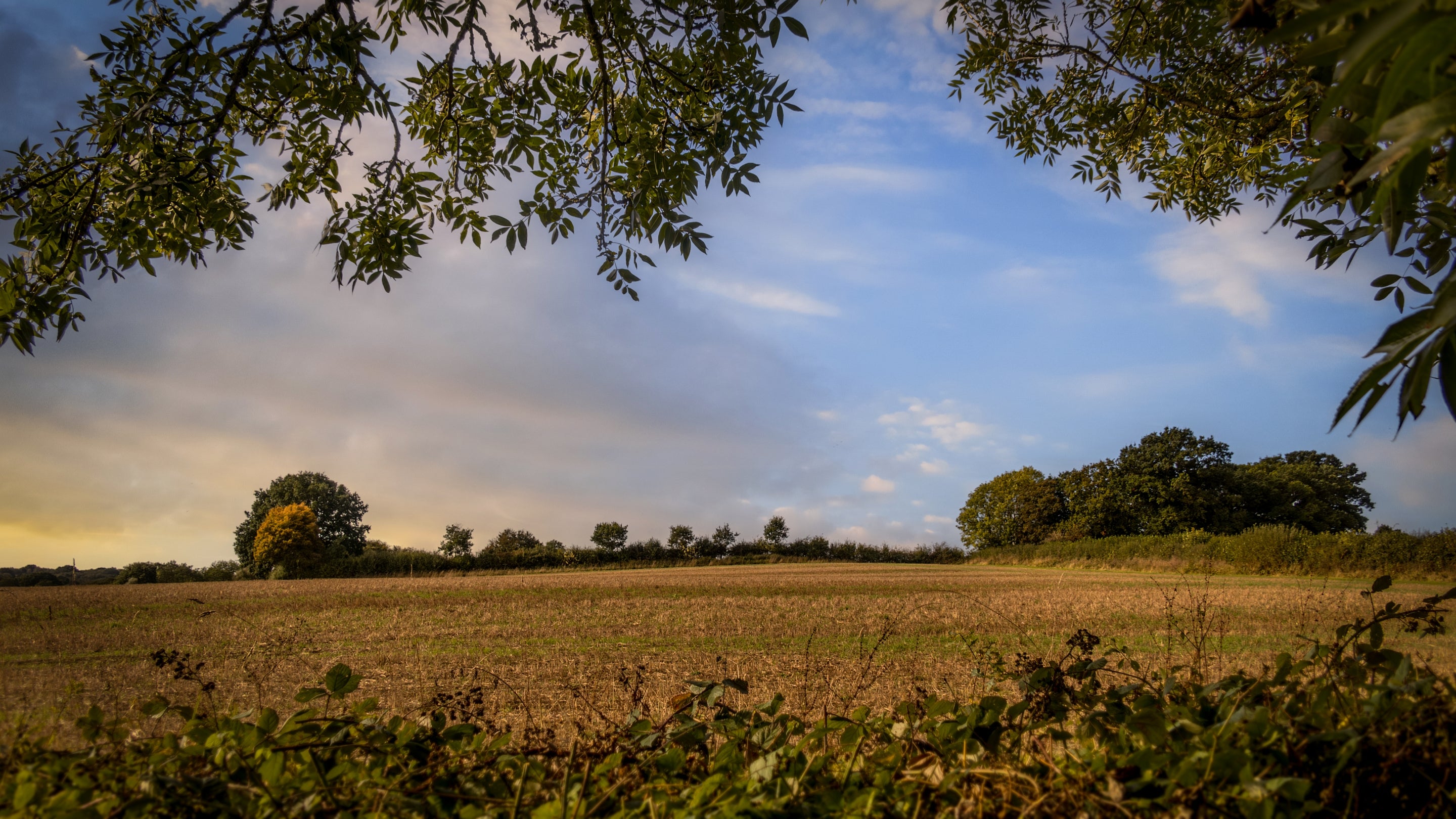 The surrounding area of 2 Bettenham, Kent