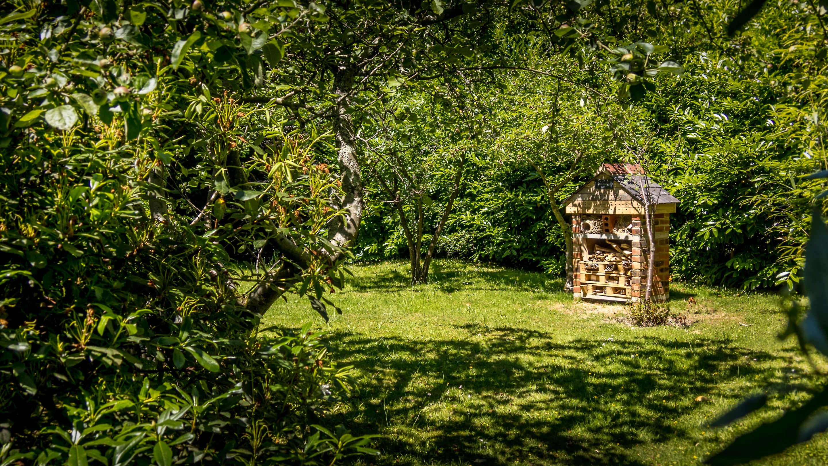 The bug hotel in the garden at Chodds Farmhouse, West Sussex