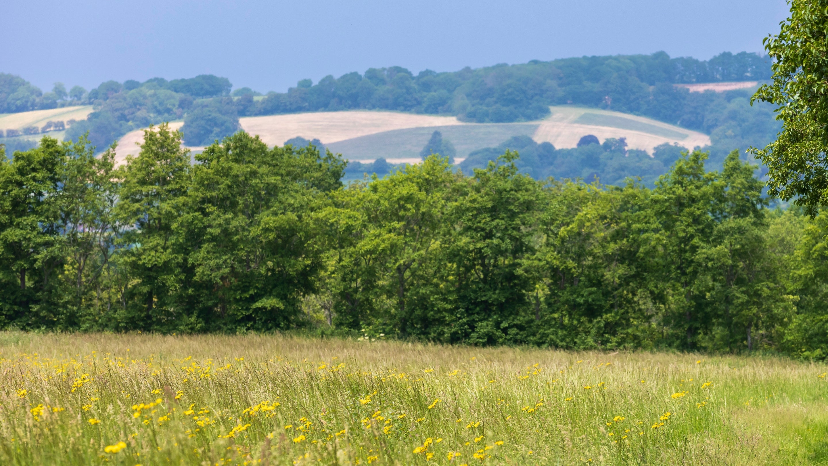 Oldbury Hill Campsite, Kent