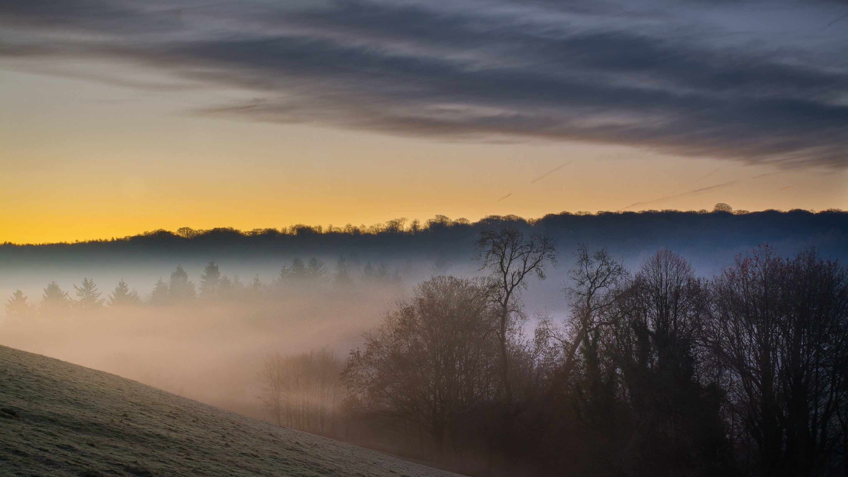 A view of the countryside in mist at Polesden Lacey estate, Surrey