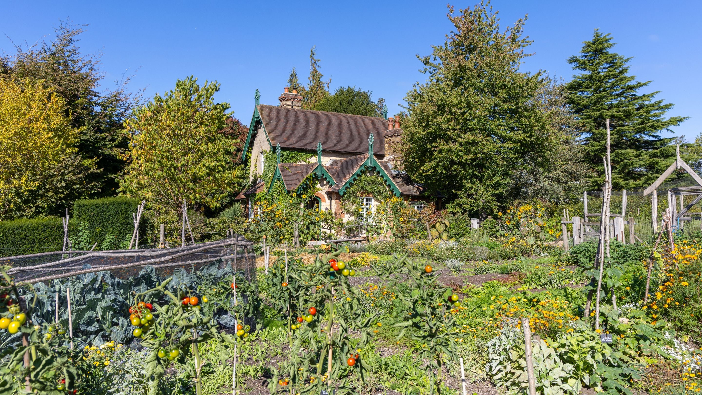 The kitchen garden at Polesden Lacey with Polesden Garden Cottage in the background, Surrey