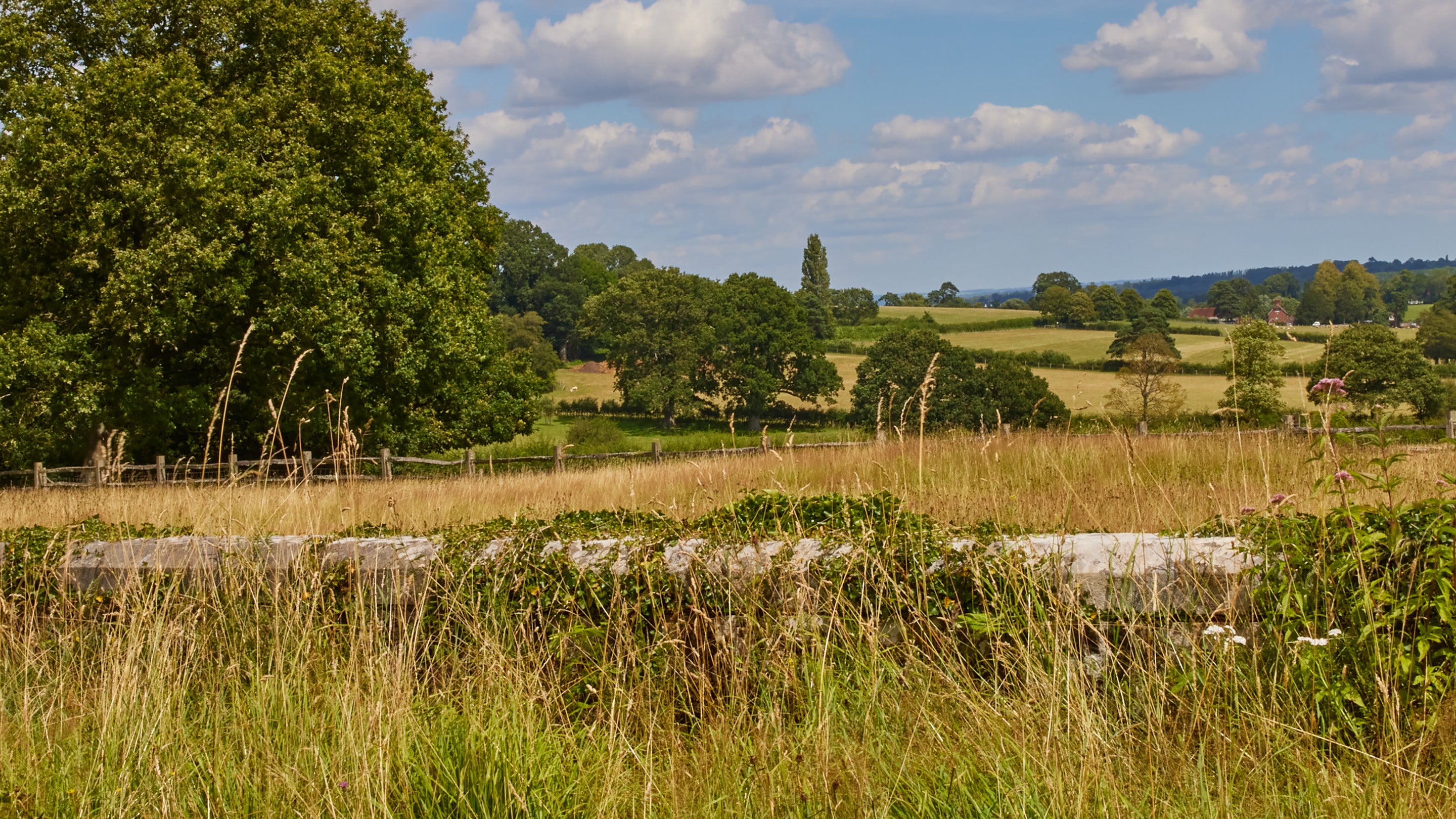 View over the Scotney Castle Estate near Scotney West Lodge, Kent