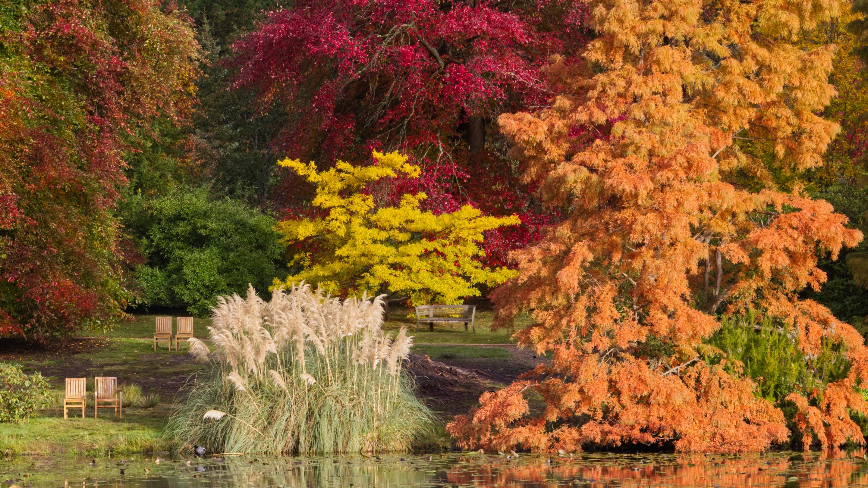 Sheffield Park and Garden in autumn, East Sussex
