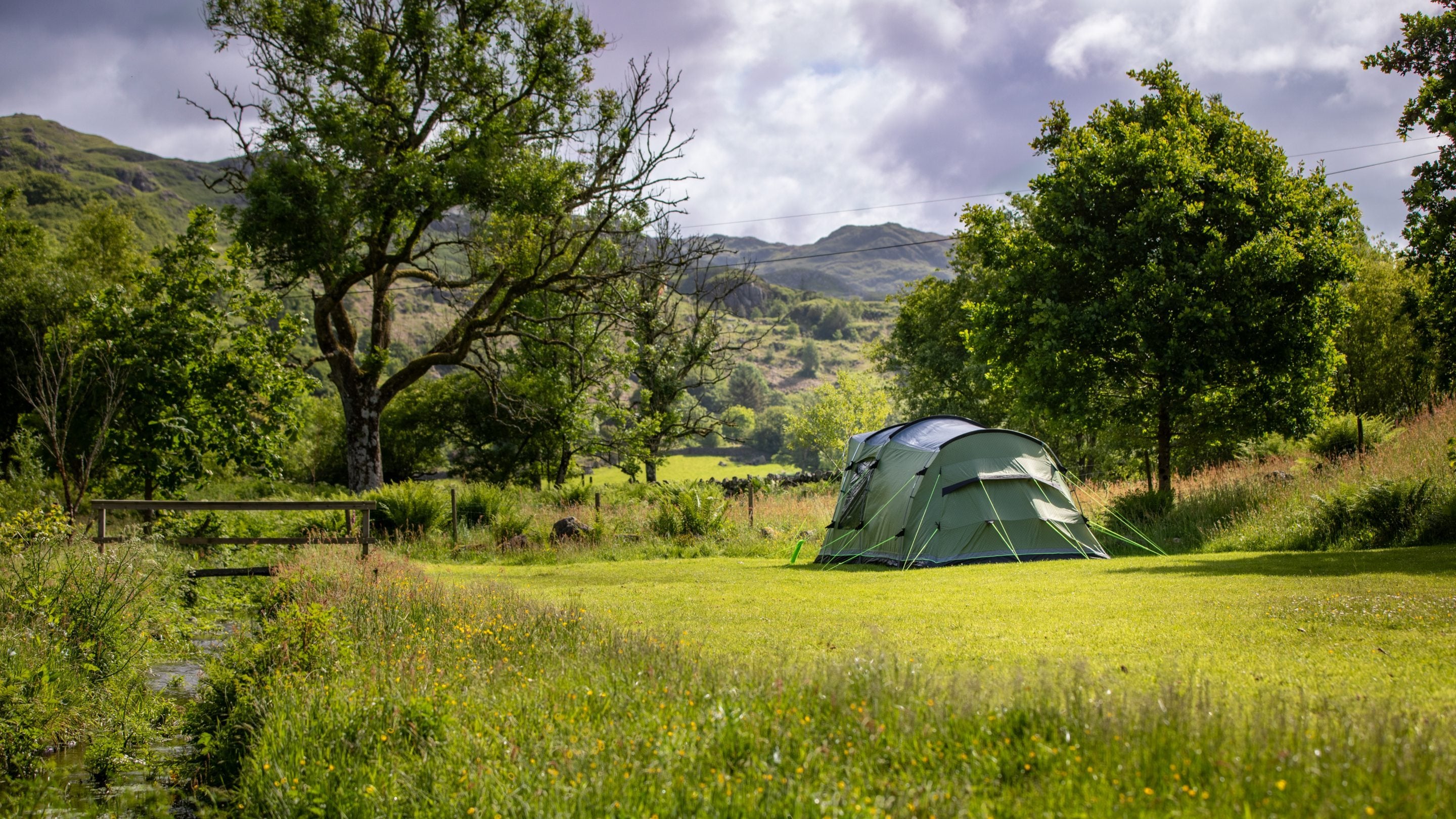 The car-free camping meadow for tents (adults only) at Eskdale Campsite, Cumbria