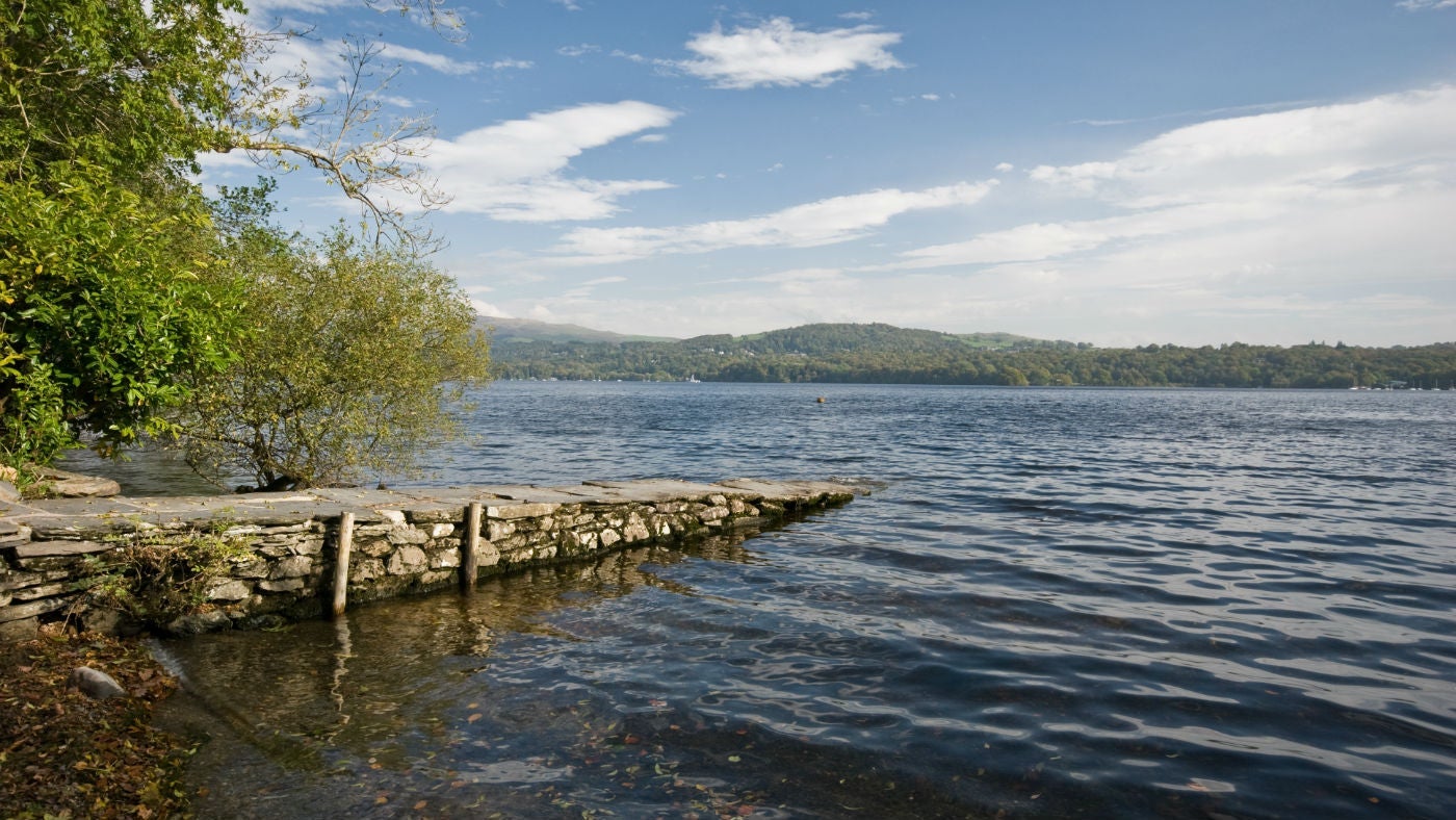 The tree-fringed shoreline of Lake Windermere at High Strawberry Gardens, Lake District, Cumbria
