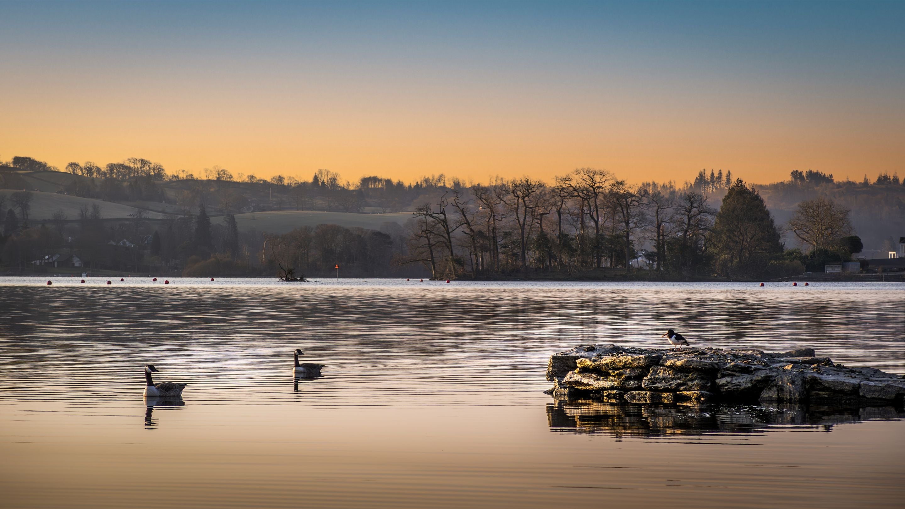Windermere and the area surrounding Low Strawberry Gardens, Cumbria