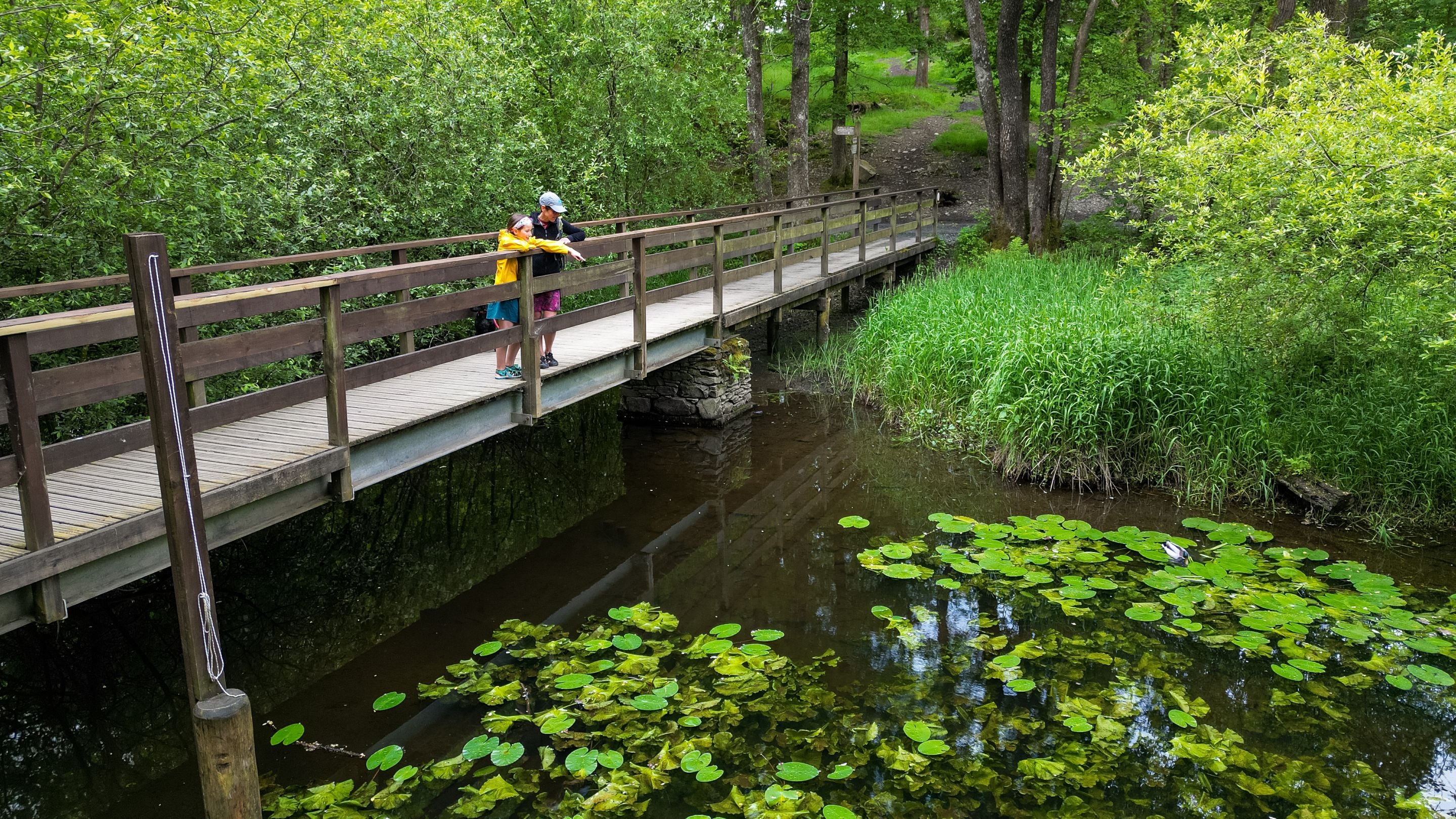 Crossing the beck at Low Wray Campsite, Cumbria