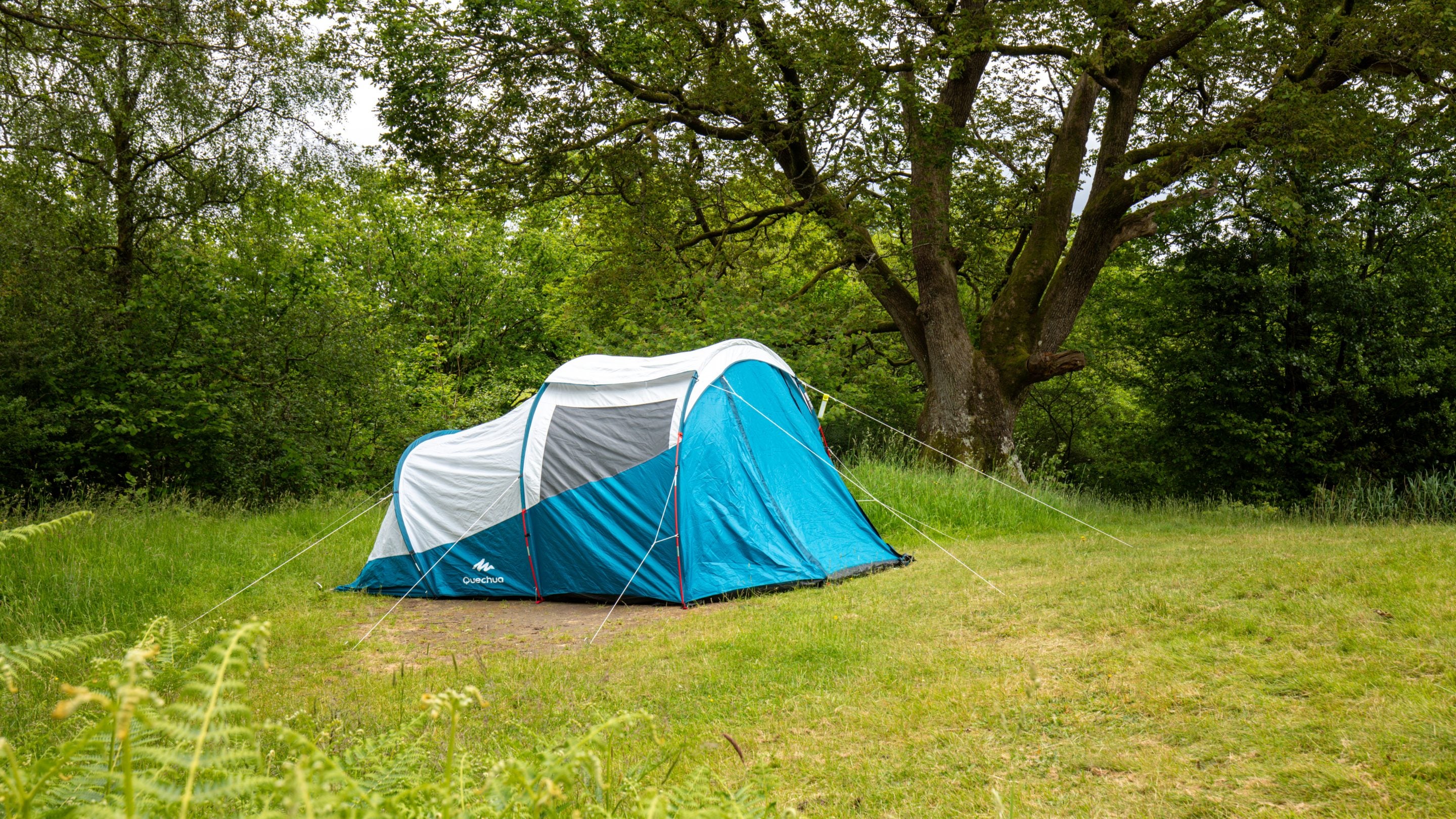 Tent pitches at Low Wray Campsite, Cumbria