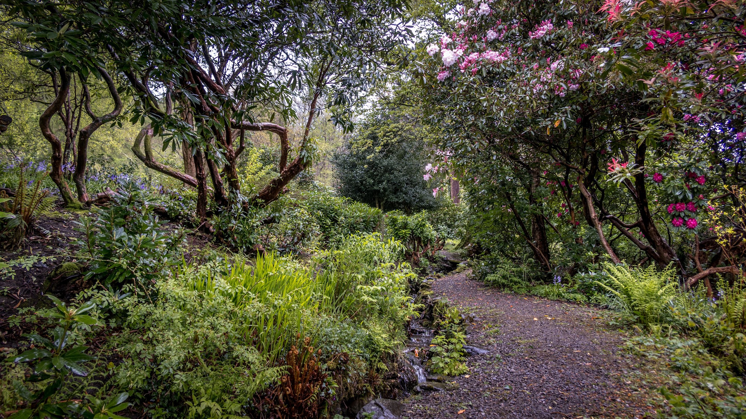 The path leading up to the top of the rear garden, alongside one of the streams at Millbeck Towers – look out for the wood fairy houses in this part of the garden, Cumbria