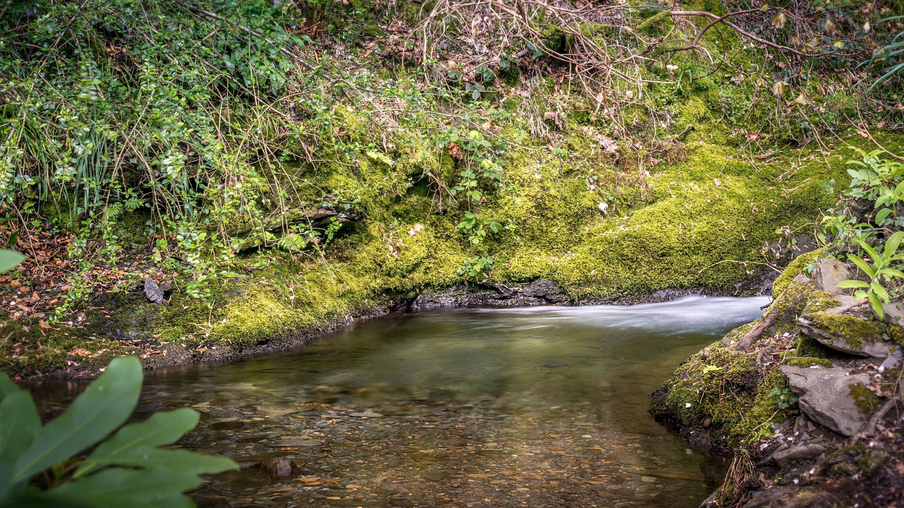 A stream on the other side of the little road from Millbeck Towers, Cumbria