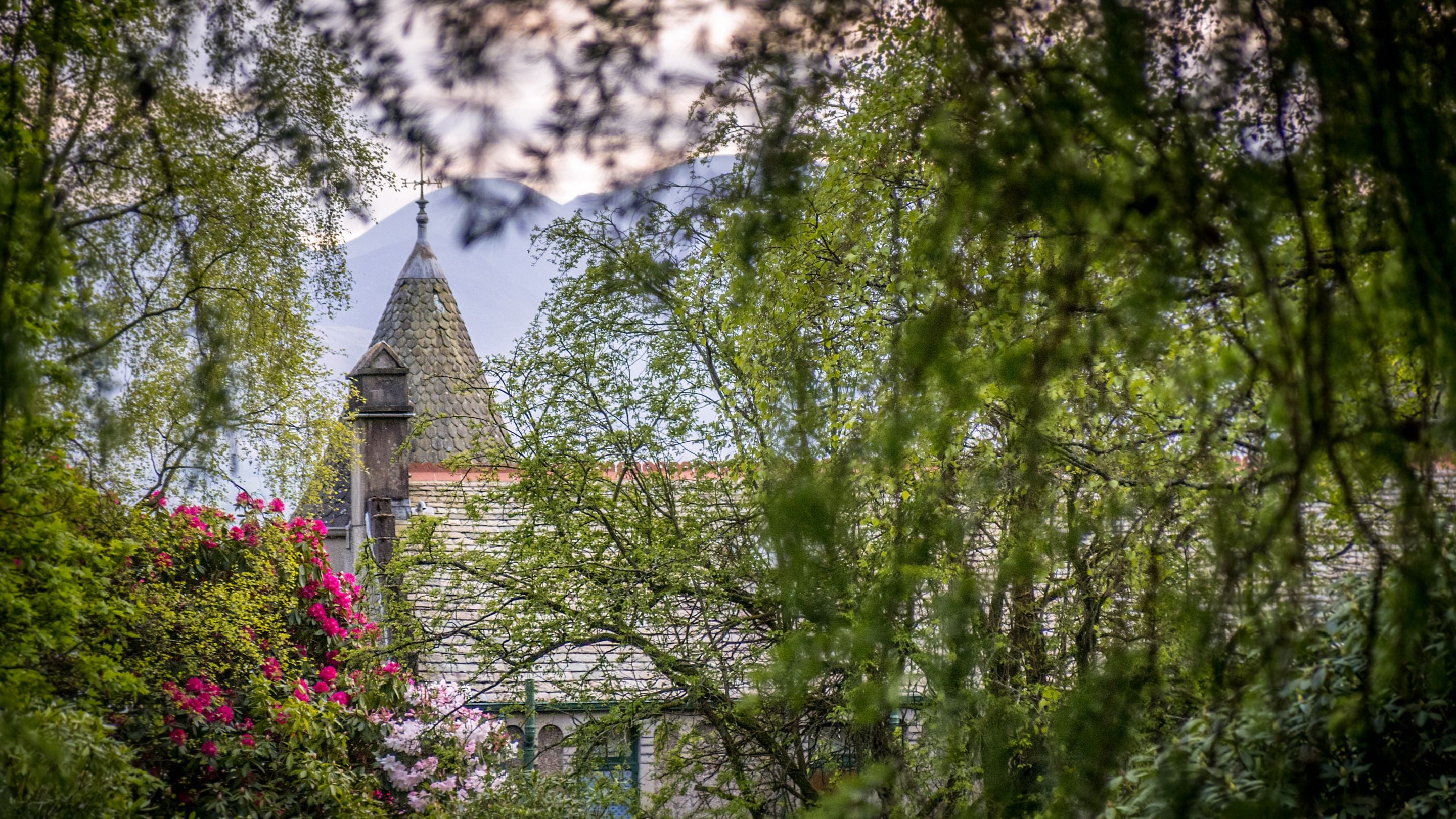 A view from the top of the rear garden, looking through the trees to the roof of Millbeck Towers in spring, Cumbria