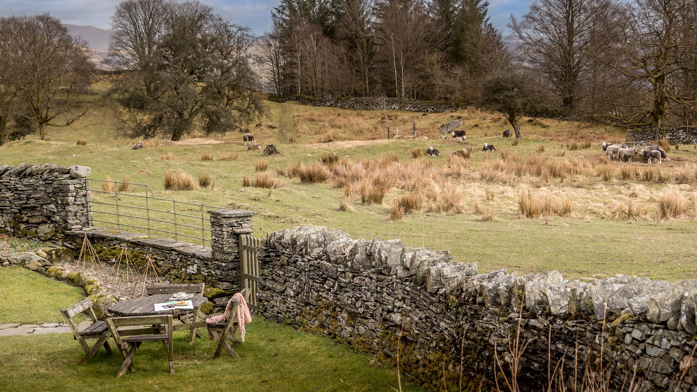 The garden with picnic table and field beyond with sheep at Rose Castle Cottage, Cumbria