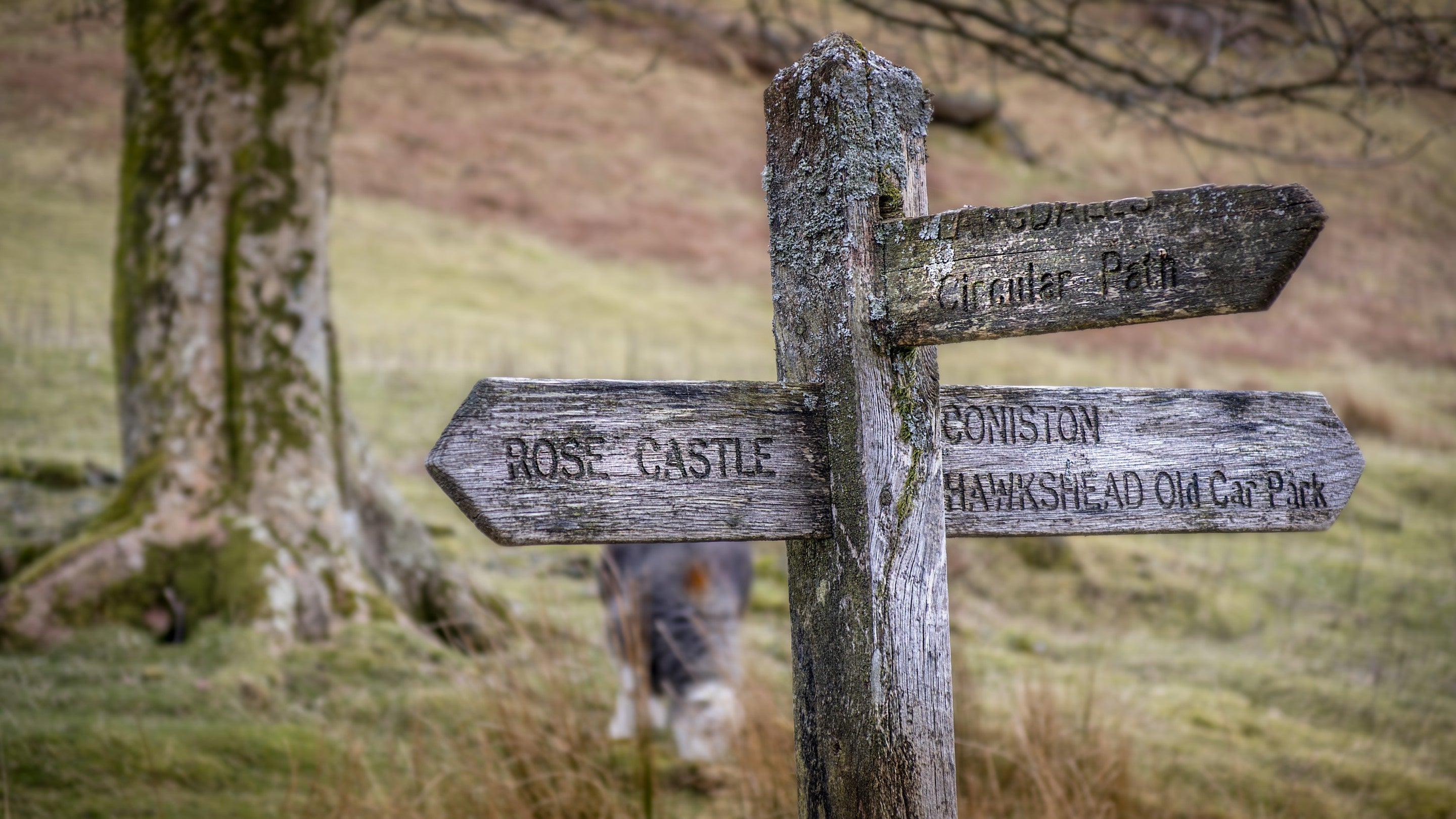Signs for Rose Castle Cottage and nearby Coniston, Cumbria
