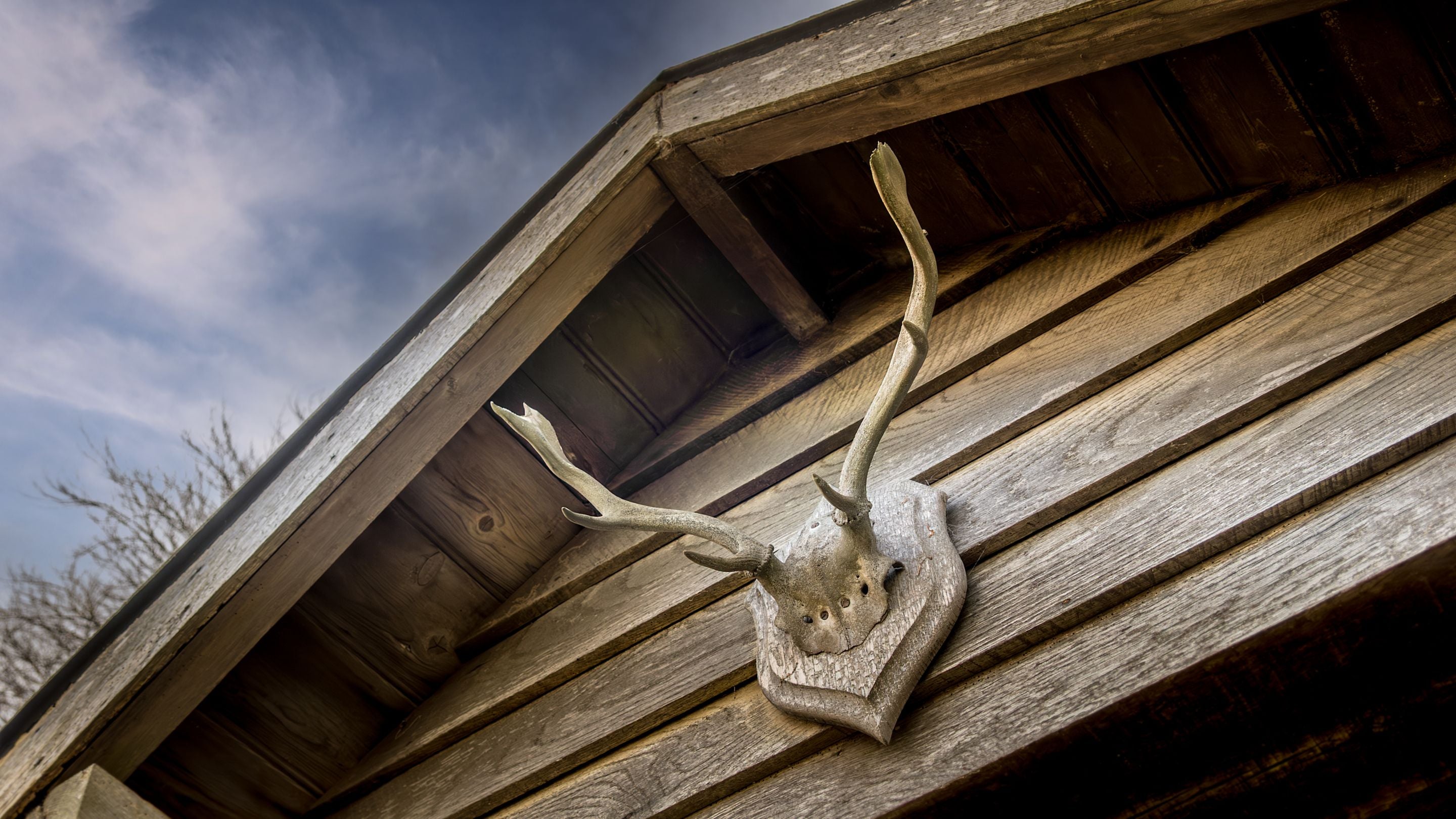 Deer antlers mounted on the gable above the front door of The Summer House, Cumbria