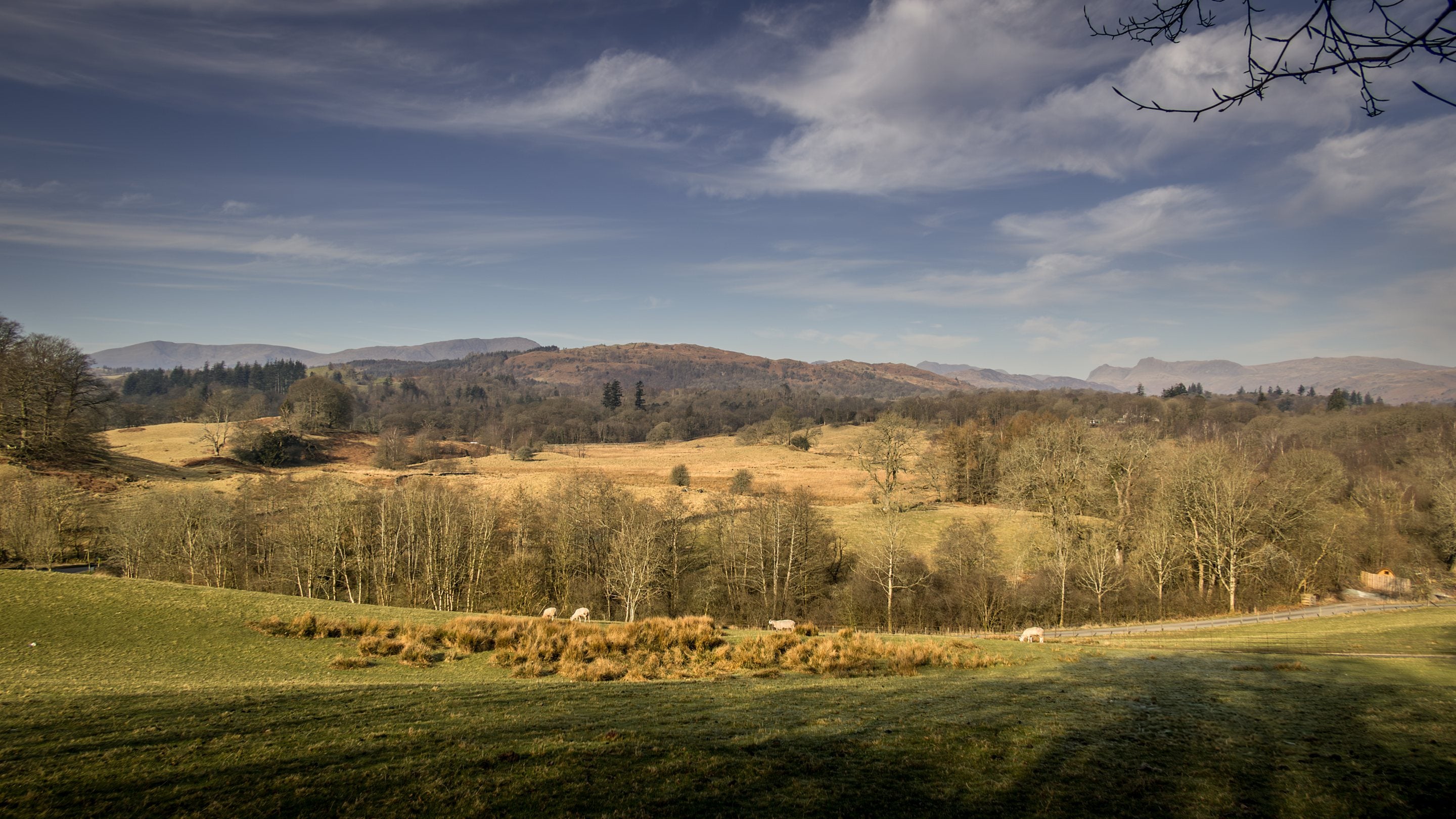 The area around The Summer House, Cumbria
