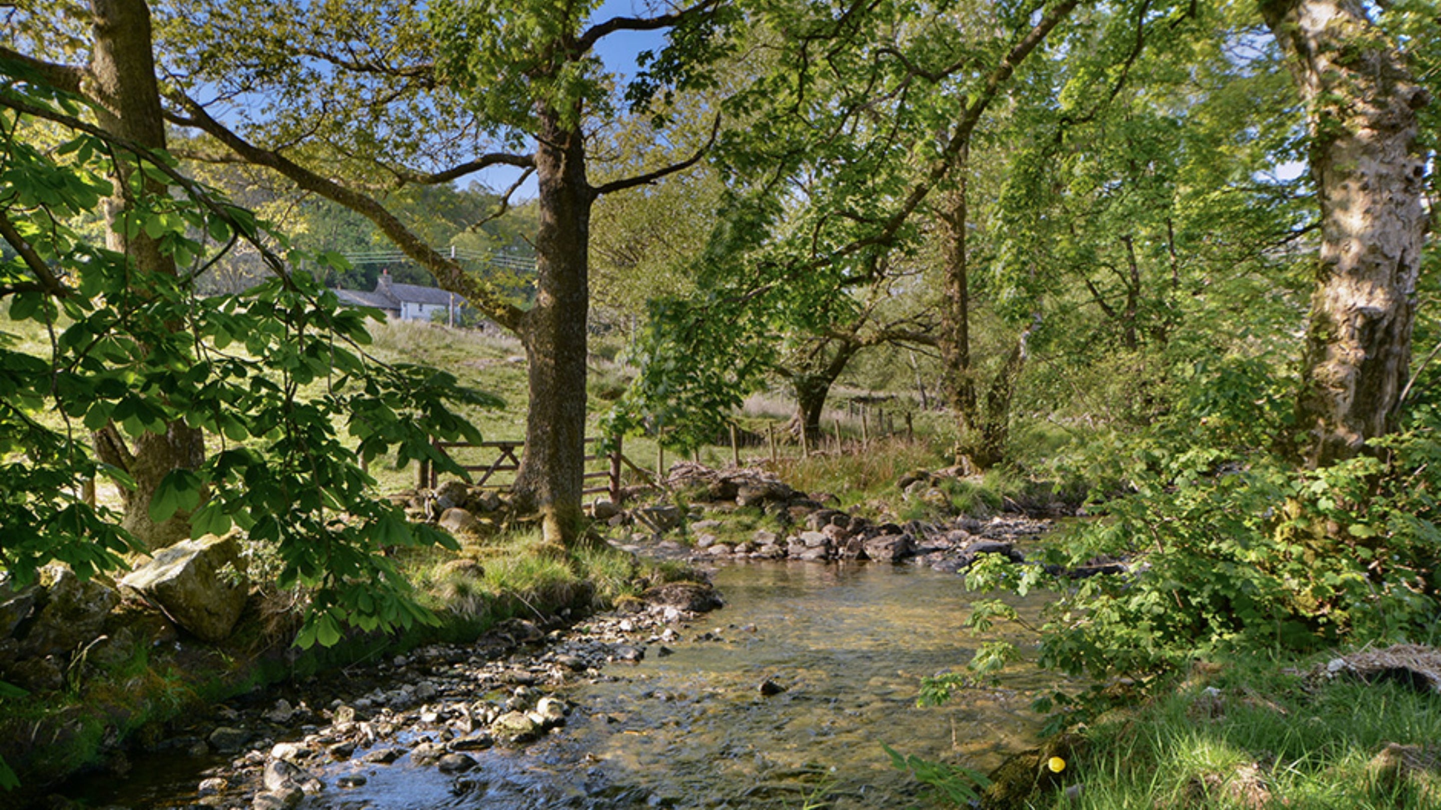 The surrounding area of Thrang, Cumbria