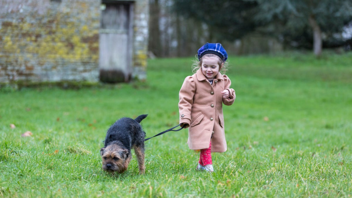Dogfriendly places in Leics & Northants National Trust