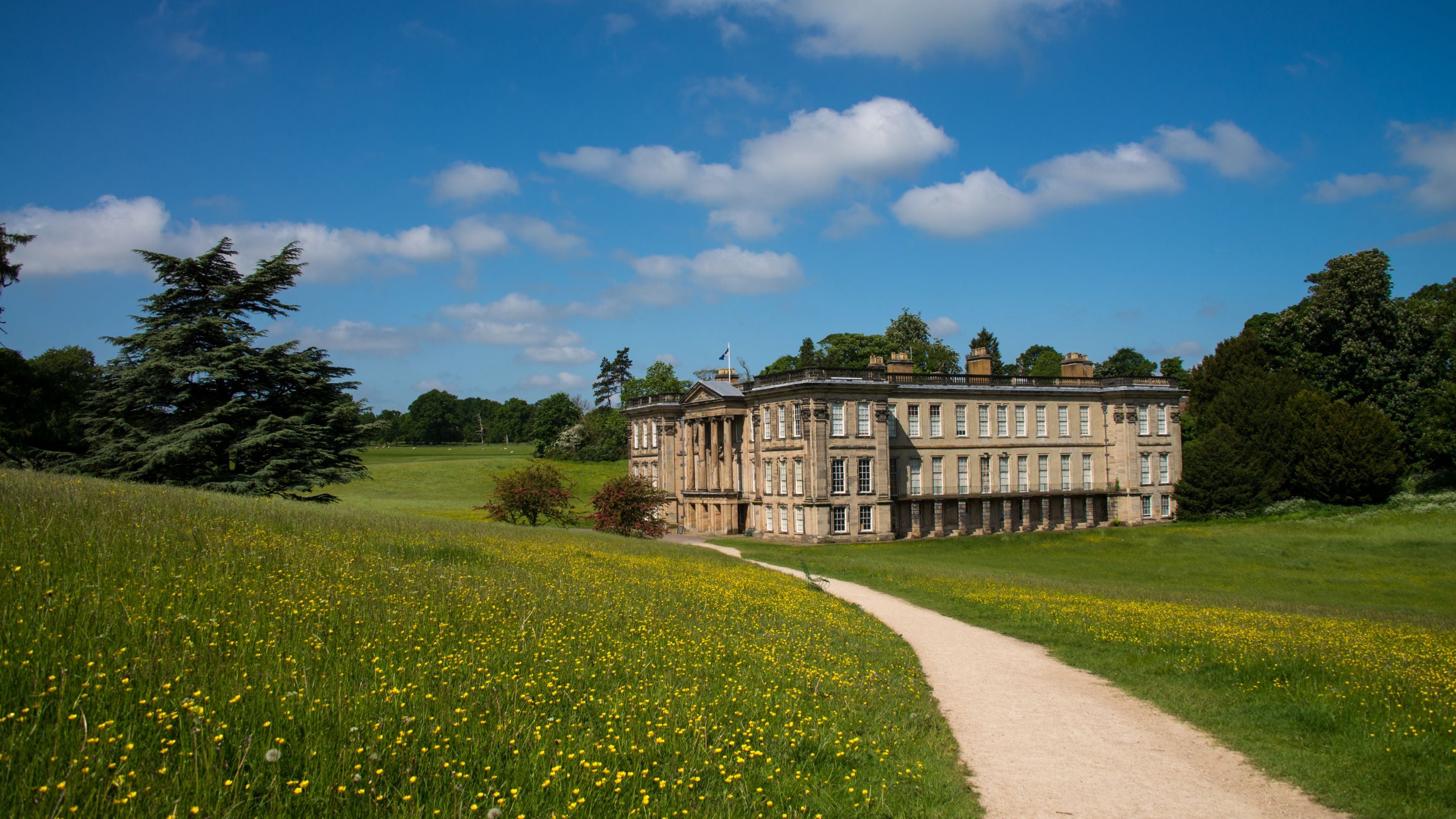 Blue sky, mansion and buttercup (Ranunculus) meadow at Calke Abbey, Derbyshire
