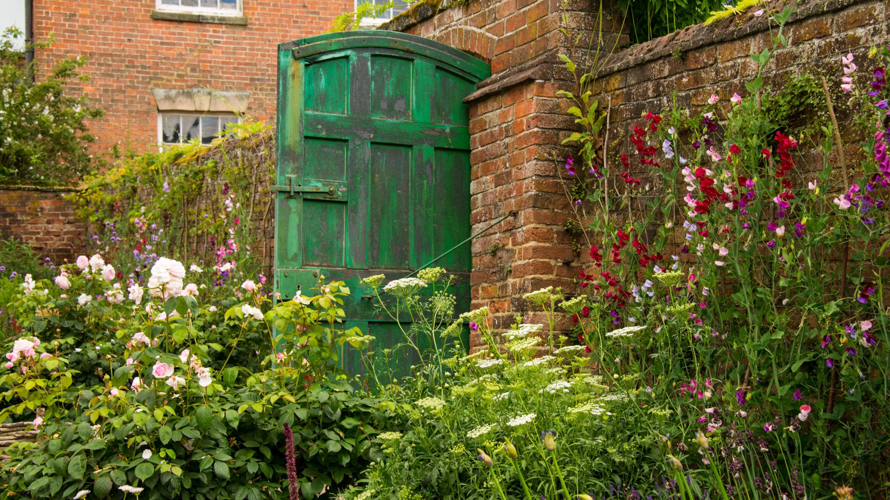 Herbaceous border in the Physic garden with Gardeners bothy in the background at Calke Abbey, Derbyshire