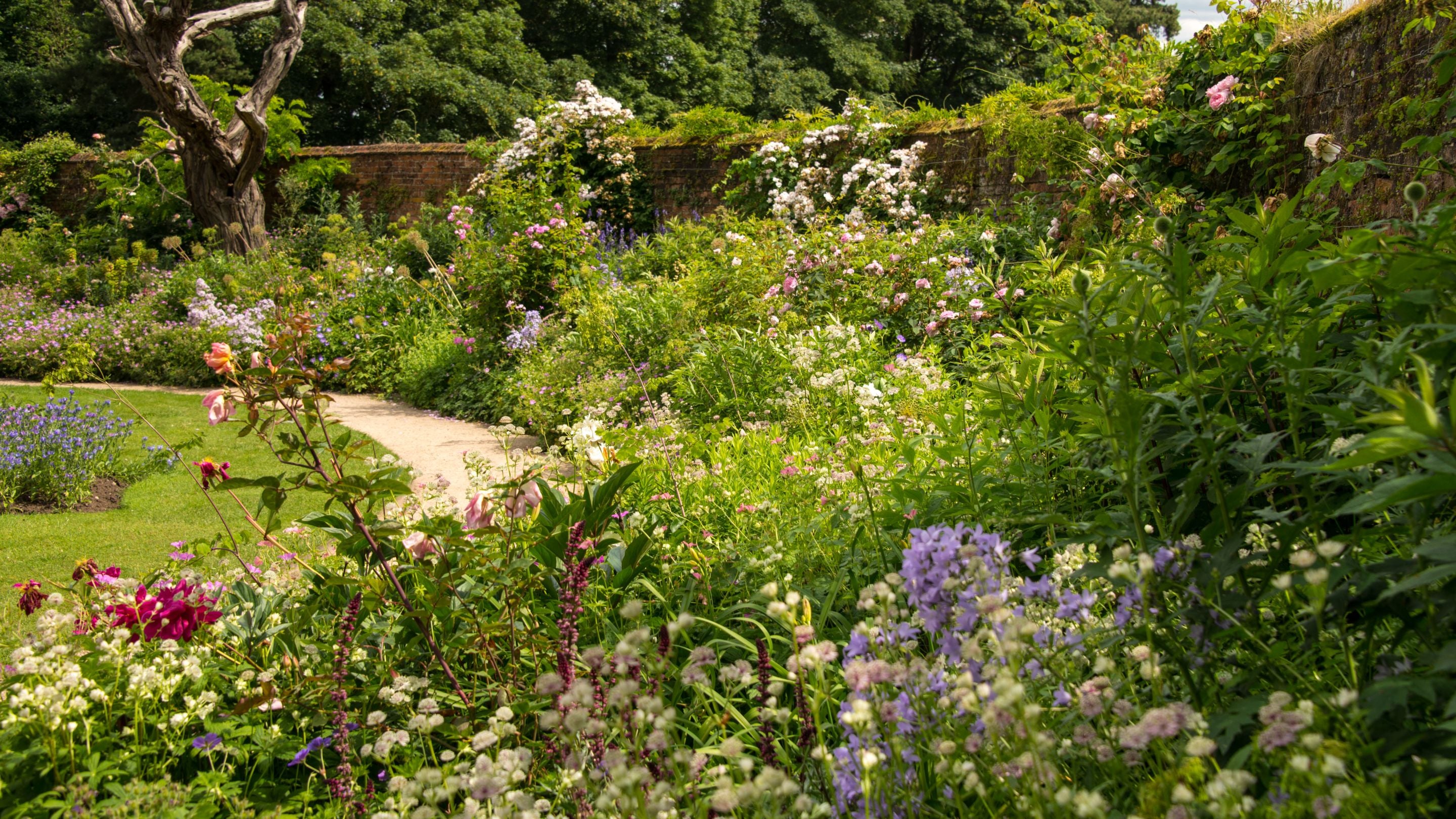 Herbacious border at Calke Abbey, Derbyshire