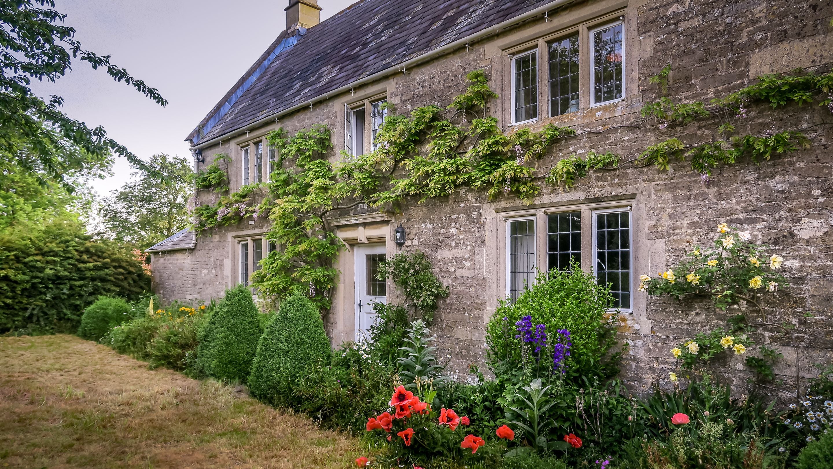 The exterior of Lyveden Cottage, viewed from the garden, with plants climbing the walls, Northamptonshire