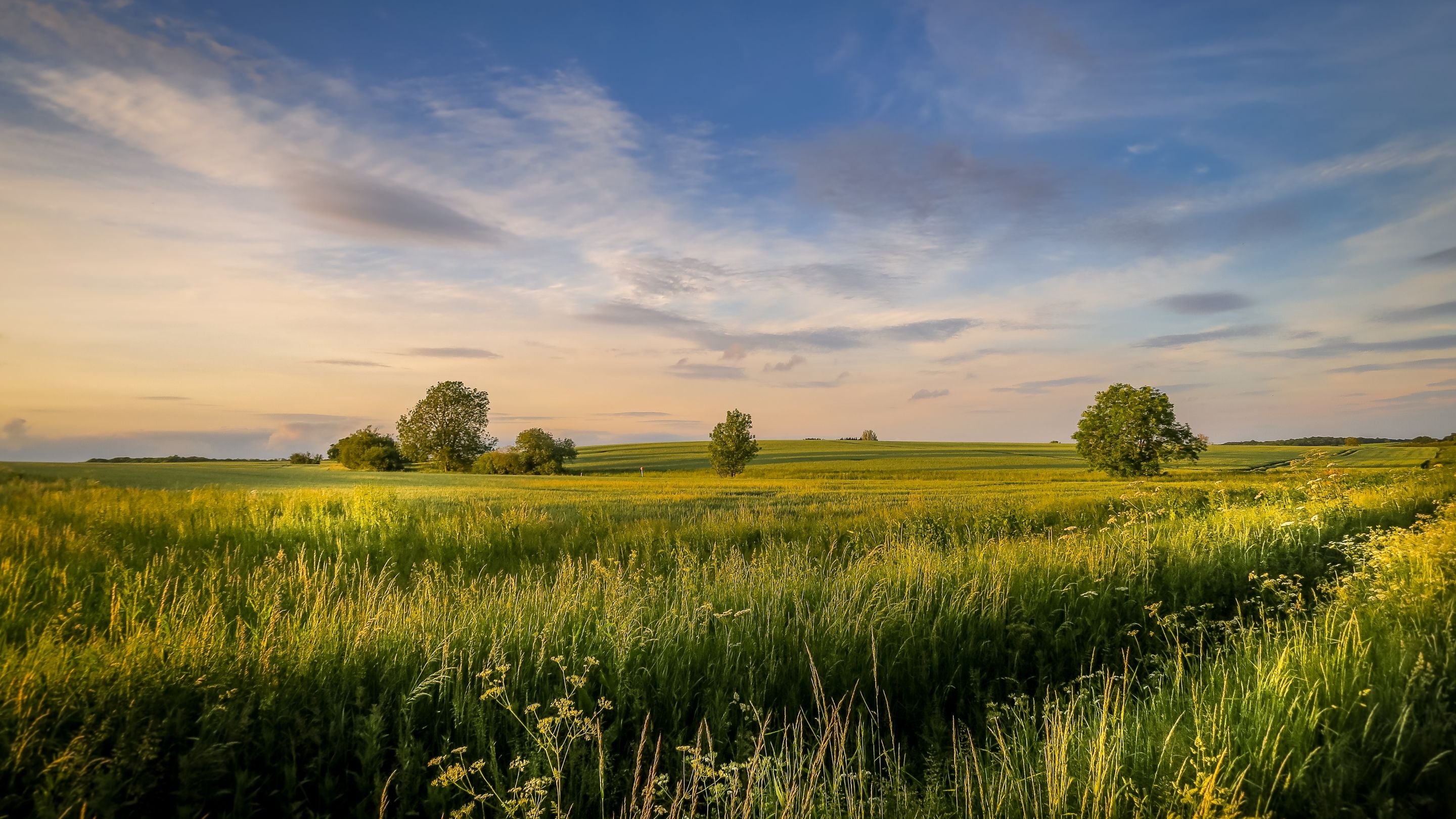 The countryside around Lyveden Cottage, with fields stretching into the distance, Northamptonshire