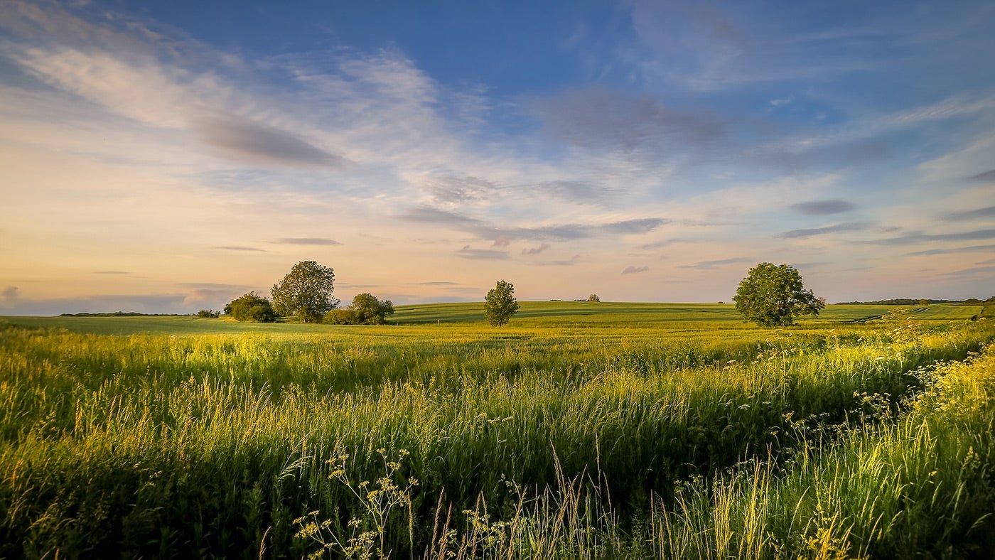 The grounds at Lyveden, Northamptonshire
