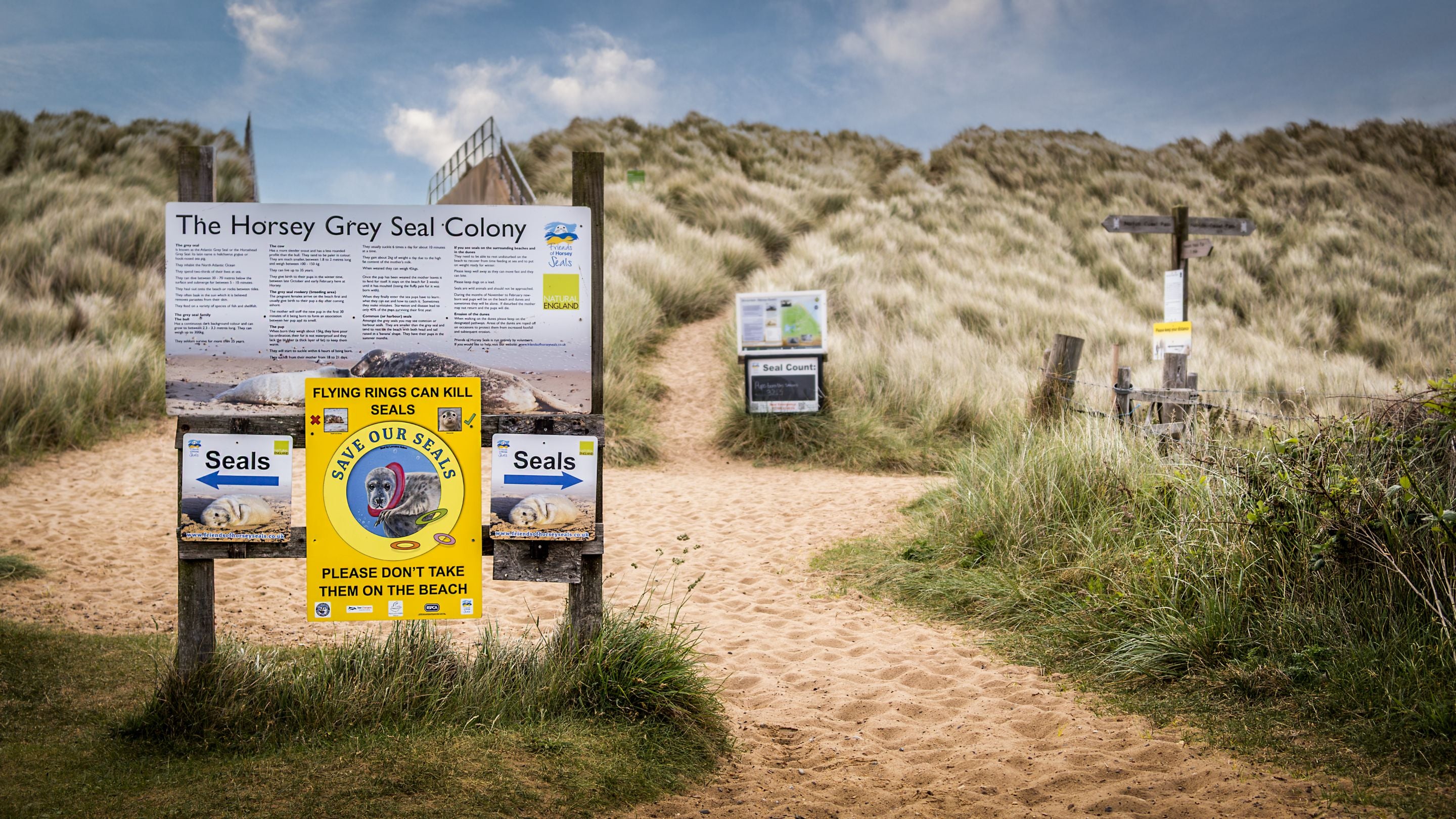 Seal colony information at Horsey Gap near 1, 2 and 3 Horsey Barns, Norfolk