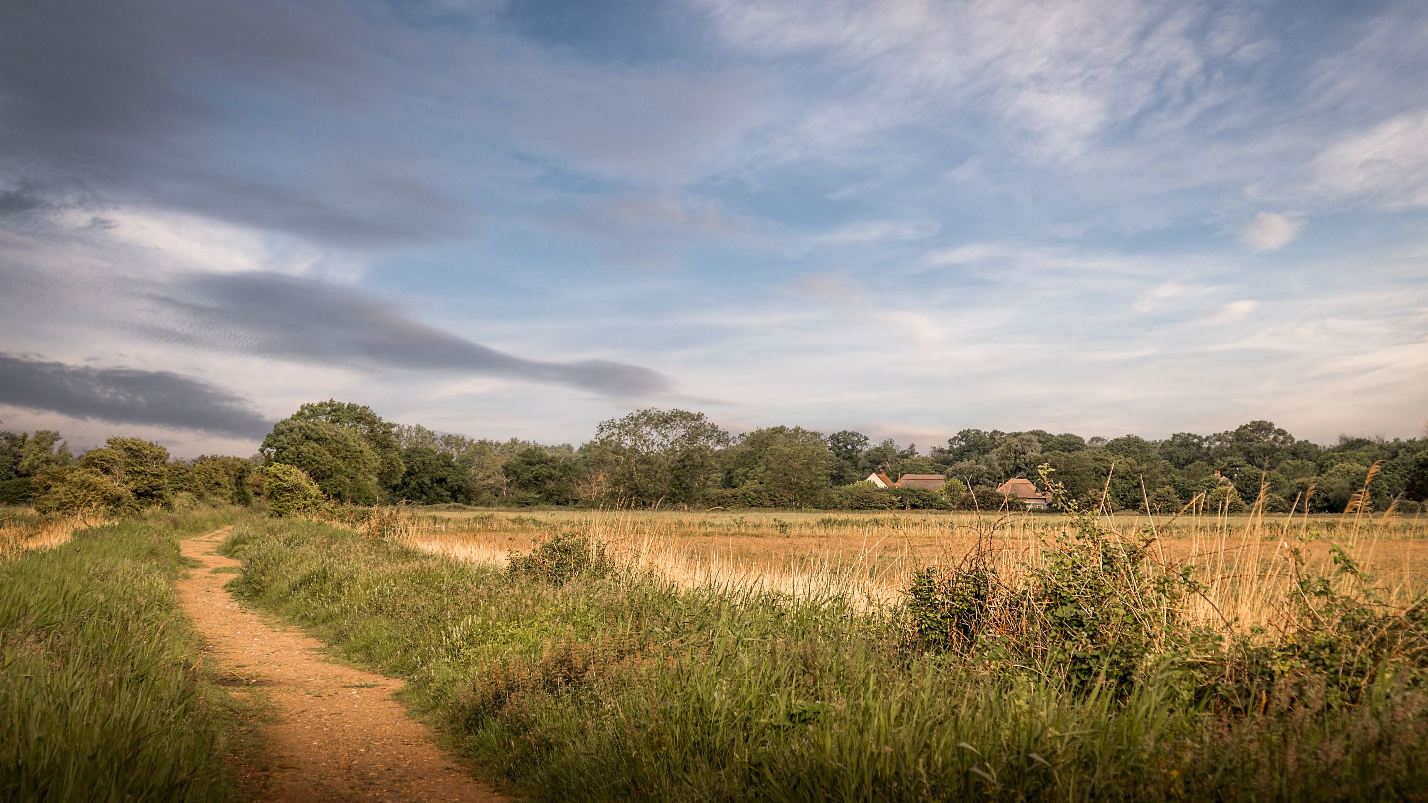 Looking back at 1, 2 and 3 Horsey Barns from nearby a walking trail, Norfolk