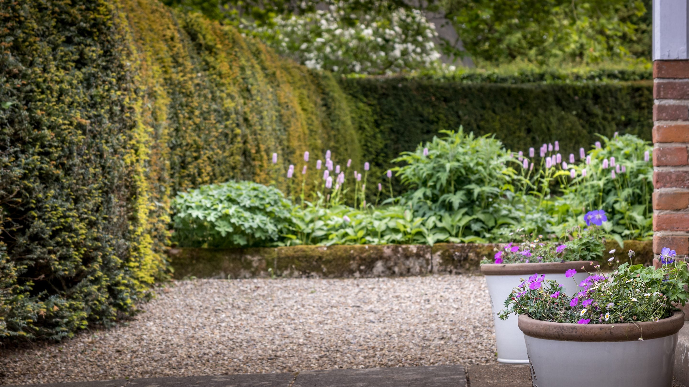 Flowers in the garden at 4 Park Gates, Norfolk